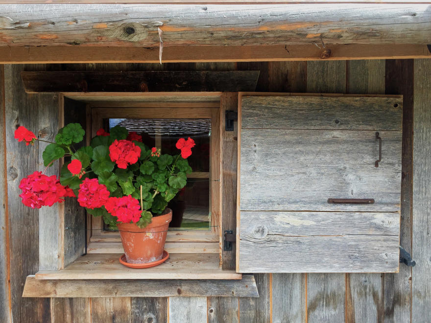 自然元素打造的阿尔卑斯山居设计-7