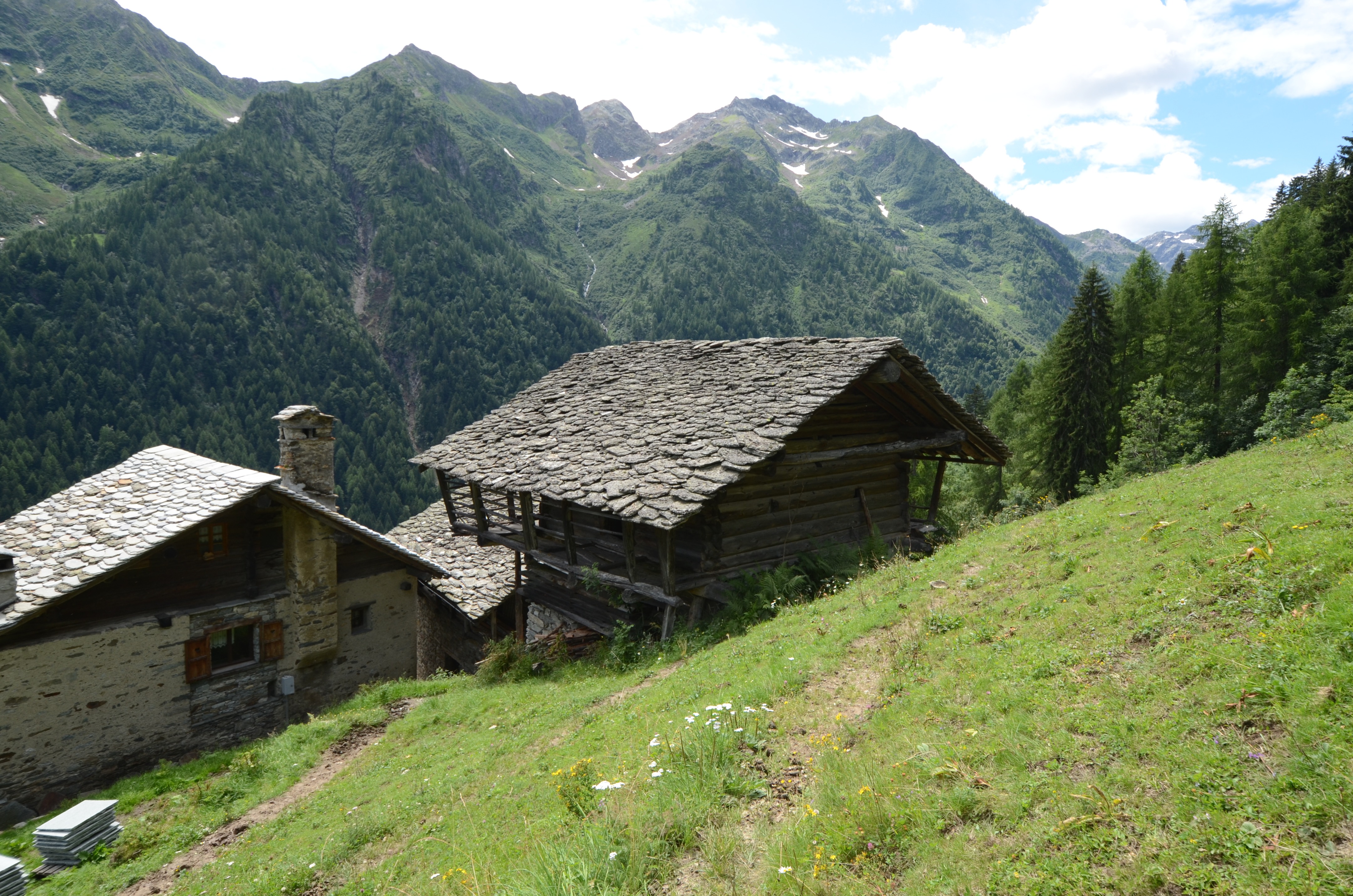 巴伊塔·瓦尔瑟,卡萨·L 修复记-13