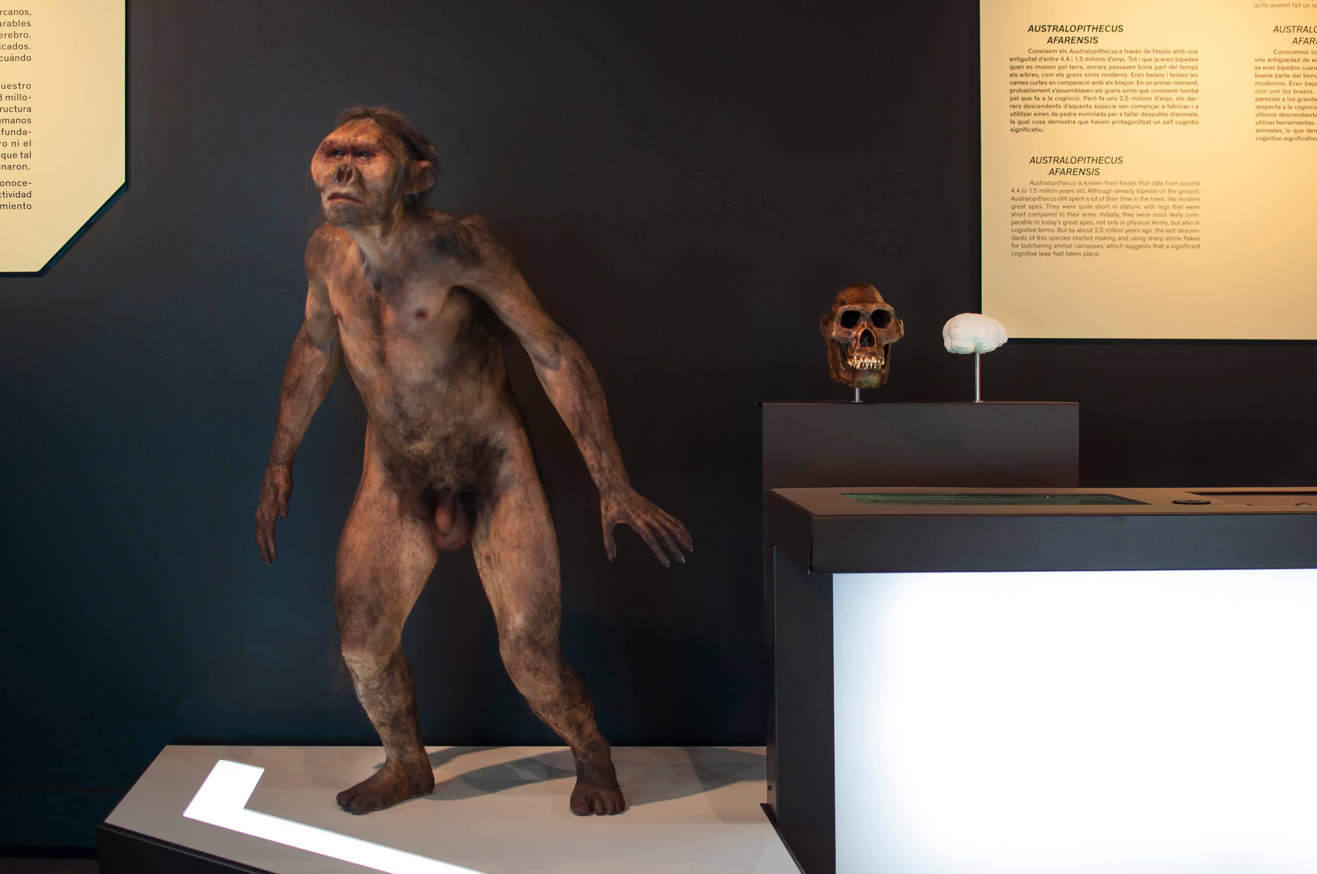 Talking Brains 展览设计-31