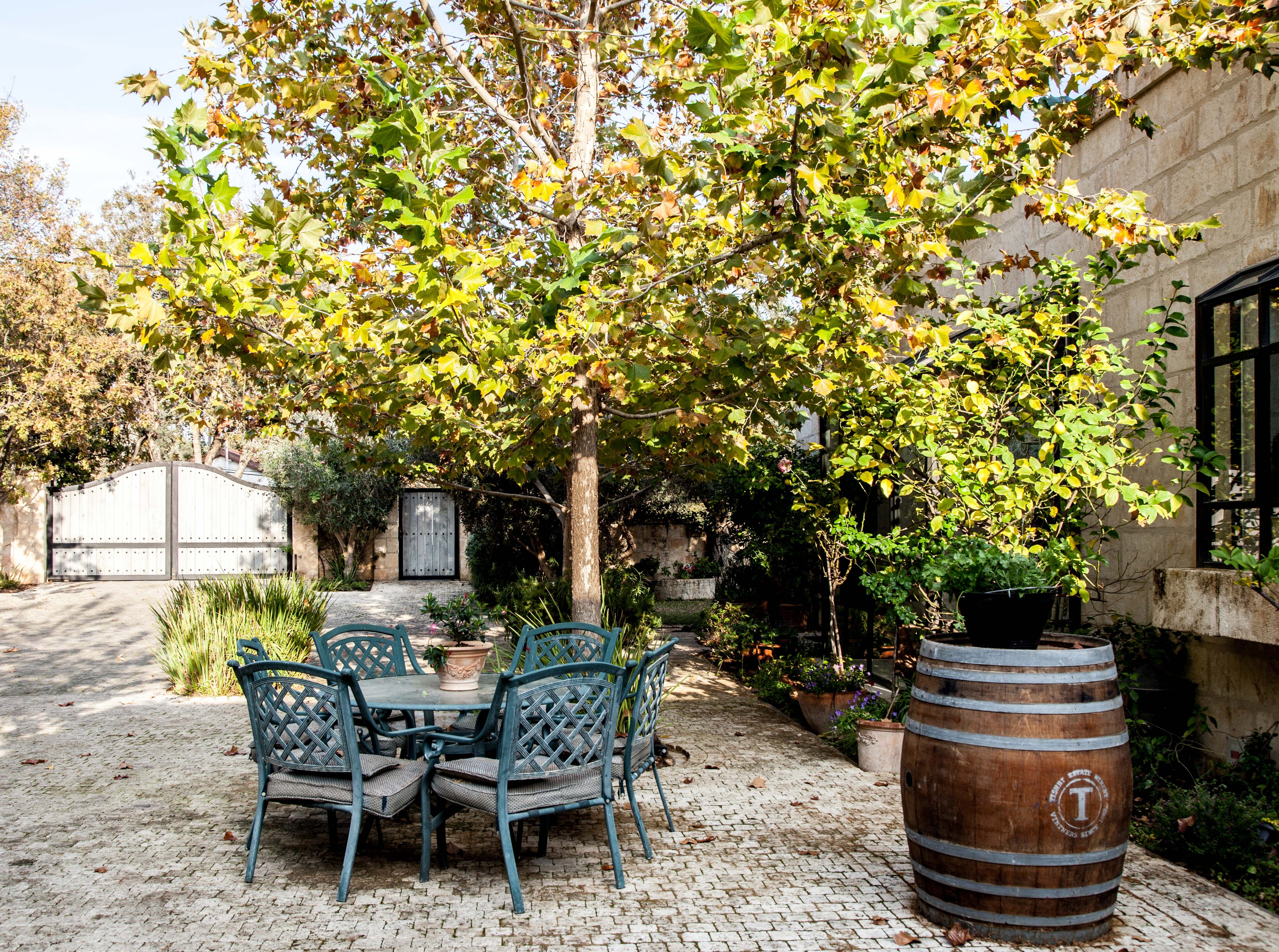 Carmel 山间的自然之家-55