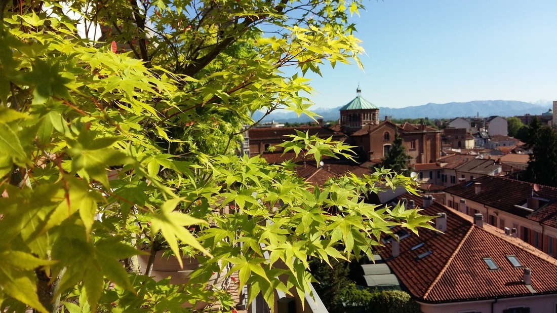 绿色视野的露台生活-6