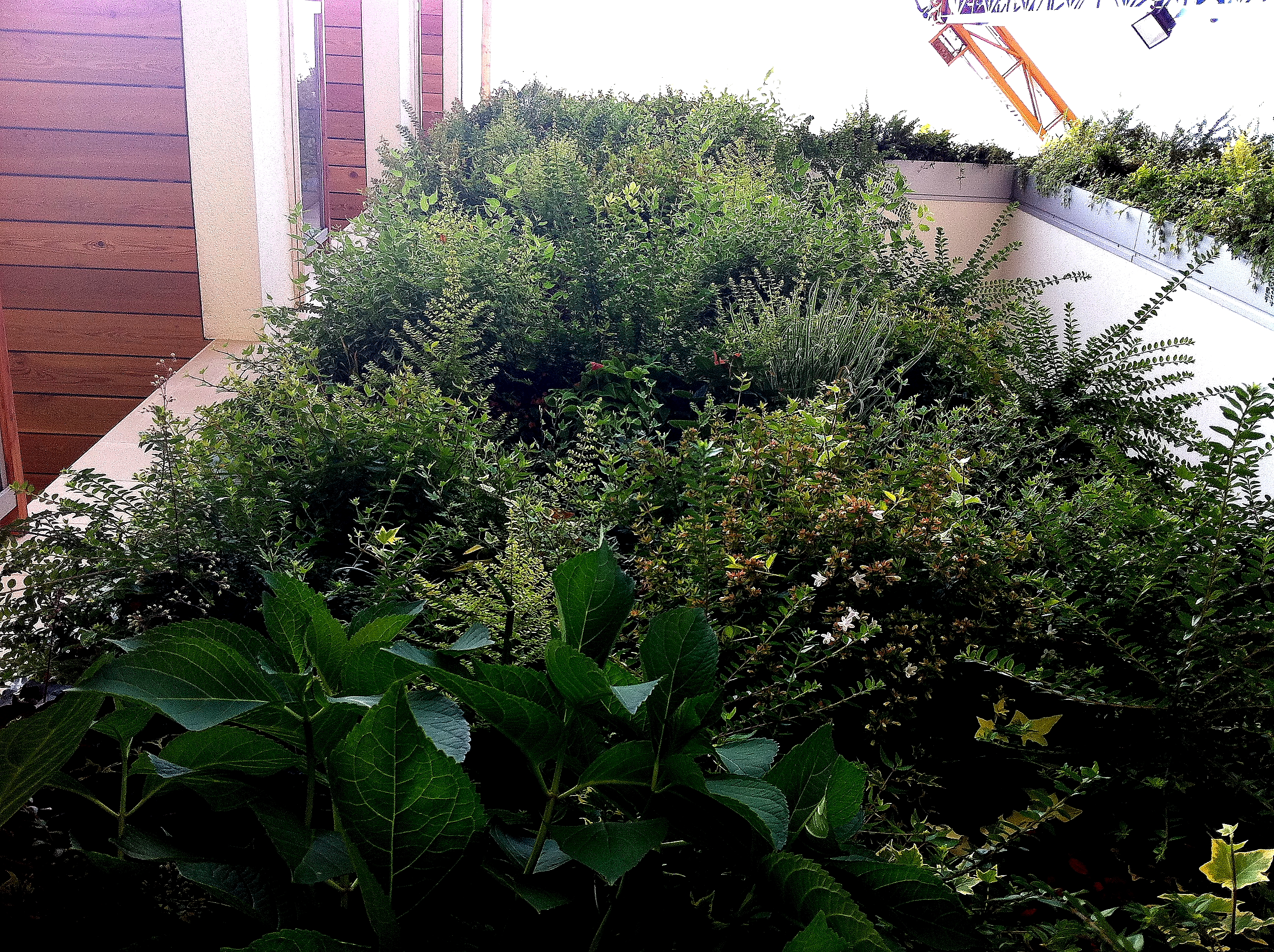 绿色公寓 · 模块化垂直绿化墙-23