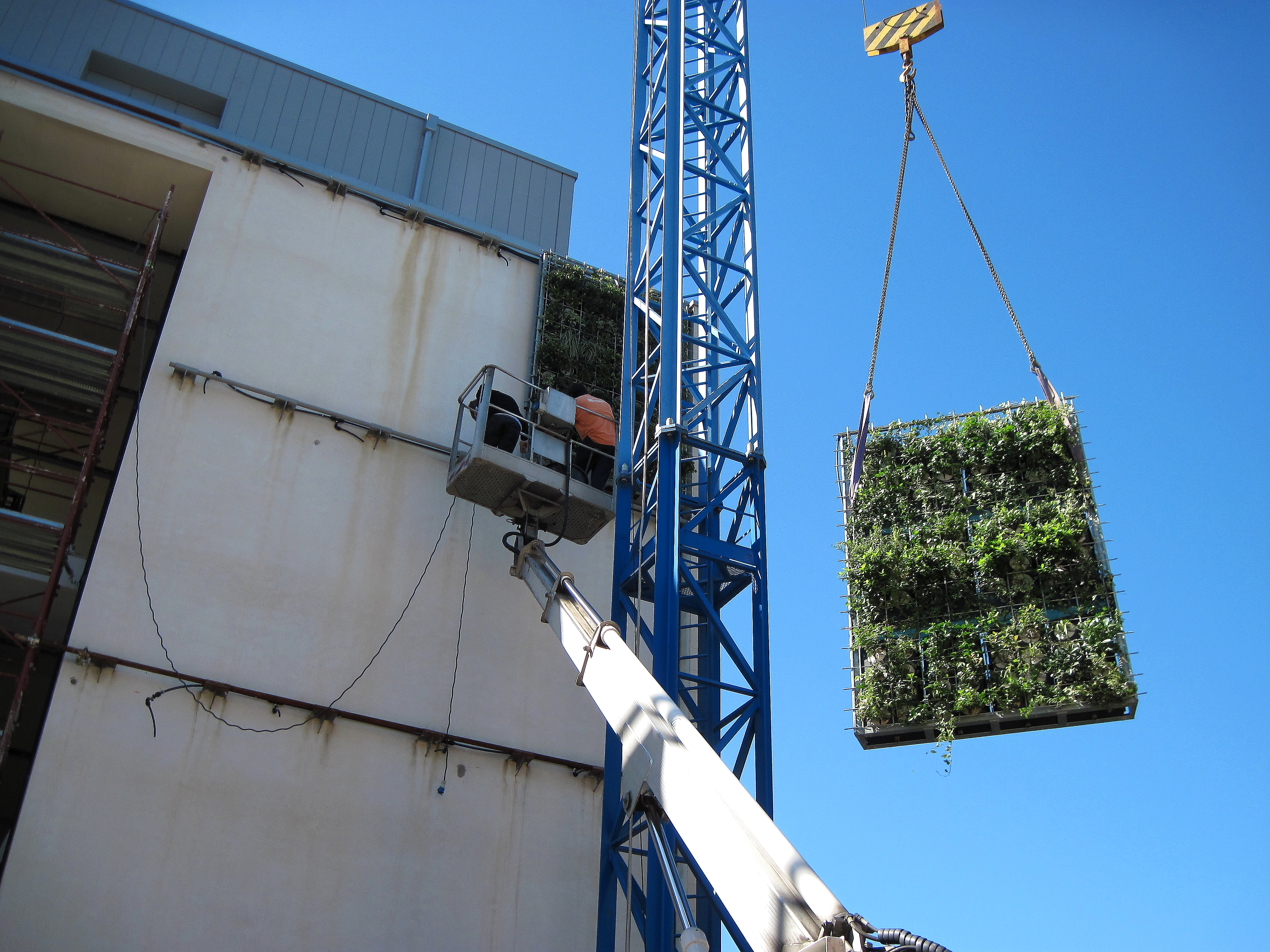 绿色公寓 · 模块化垂直绿化墙-7