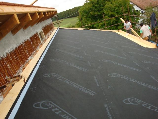 泳池别墅翻新记——无障碍通道与兽医诊所的完美结合-29