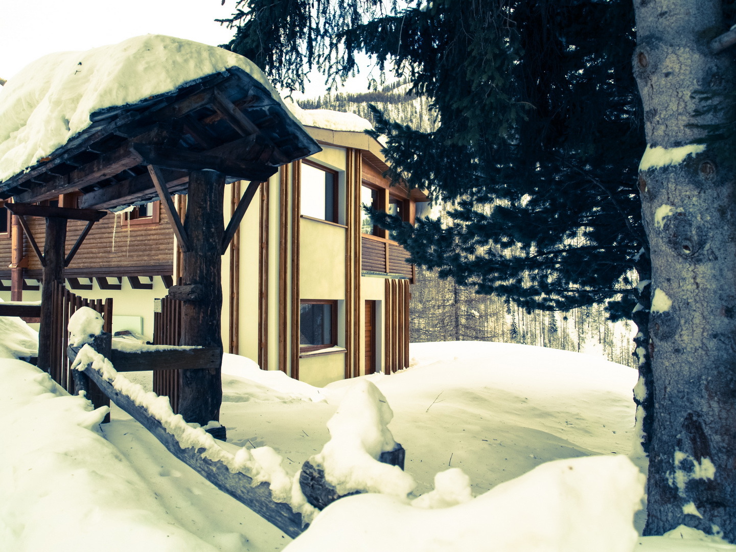 山间木屋的现代复兴-52