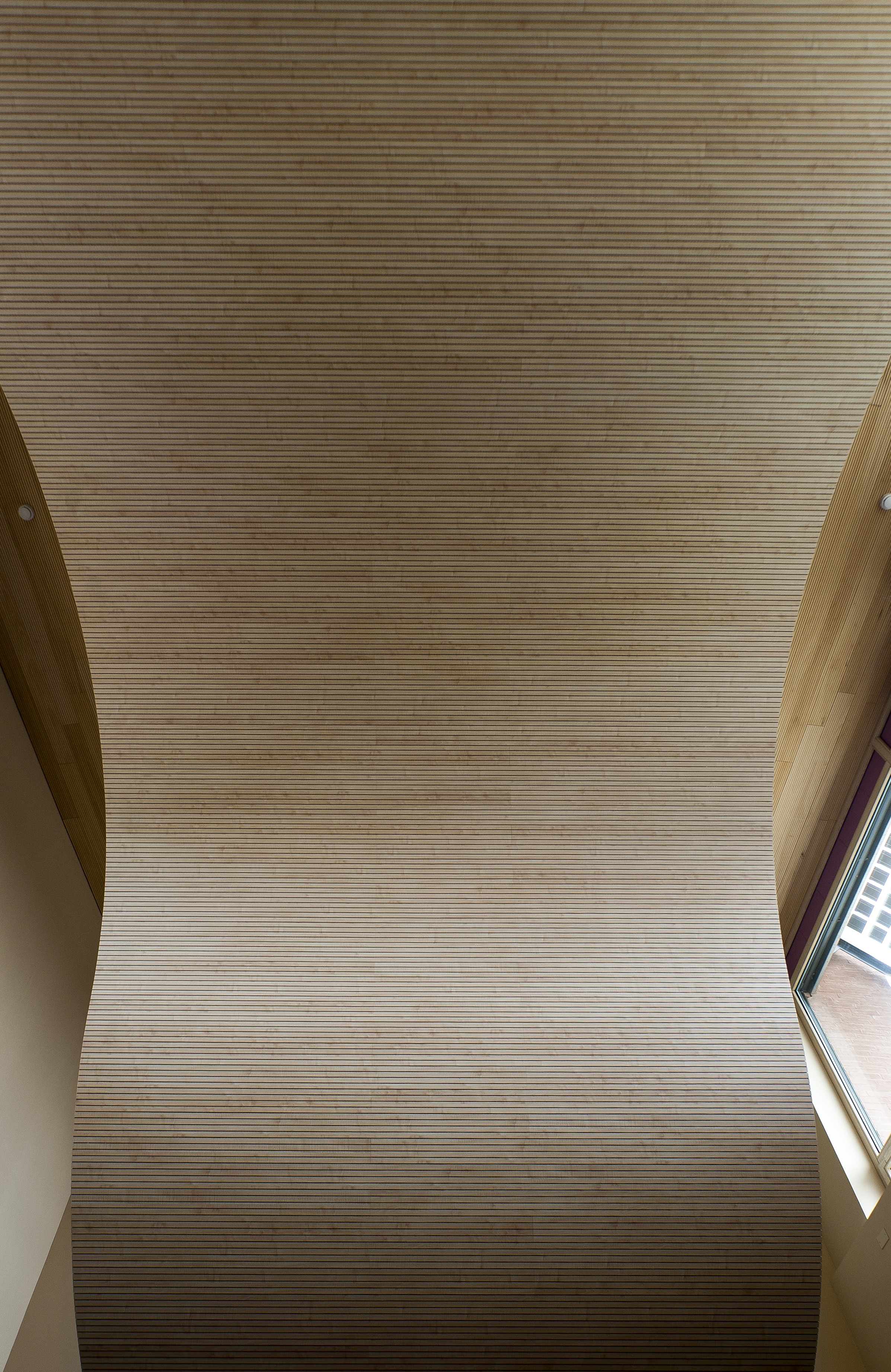 风之阁楼 · 自然与建筑的和谐共生-30