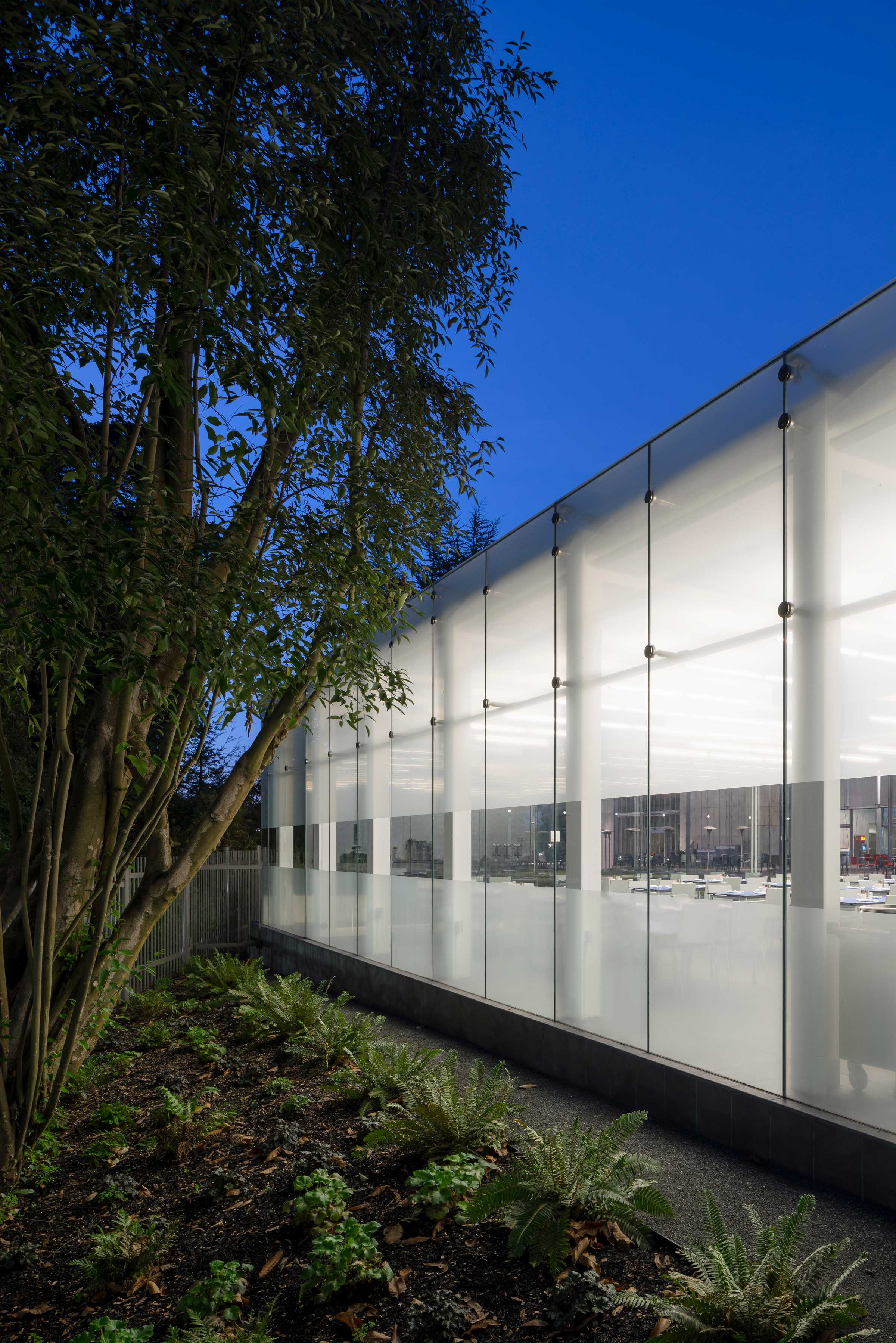 加州科学院露台-4