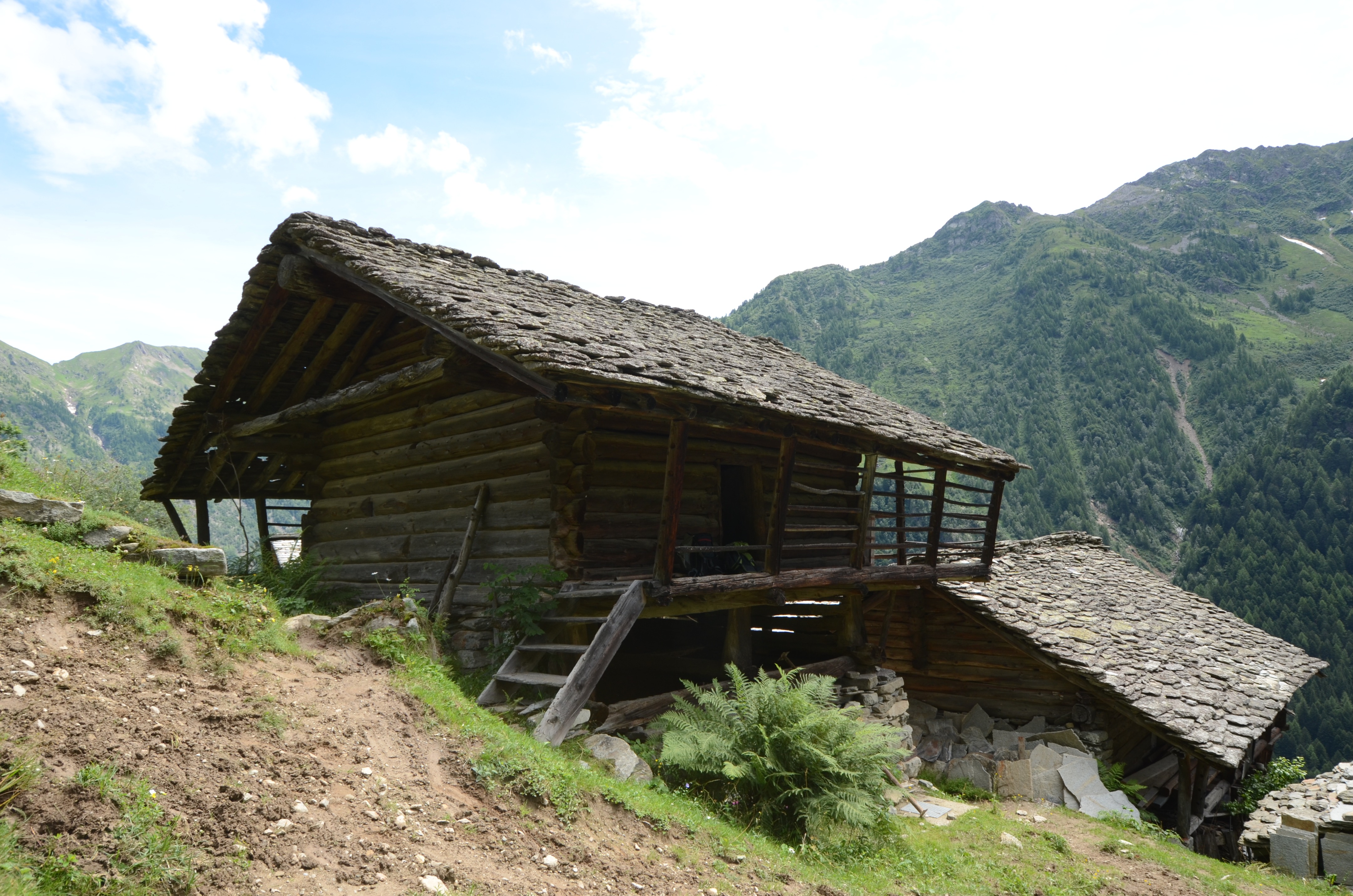 巴伊塔·瓦尔瑟,卡萨·L 修复记-9