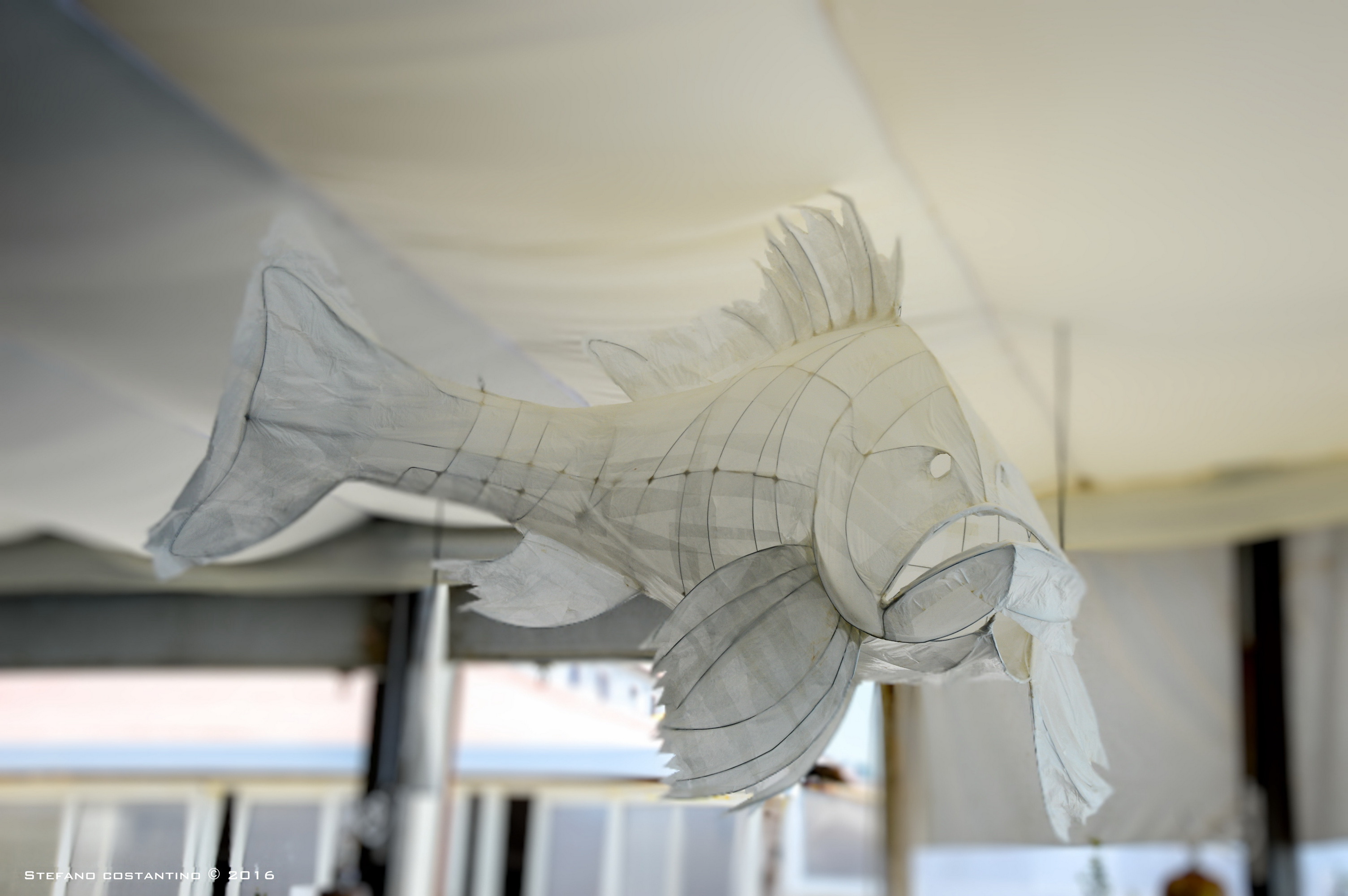 光怪陆离的海底餐厅-18