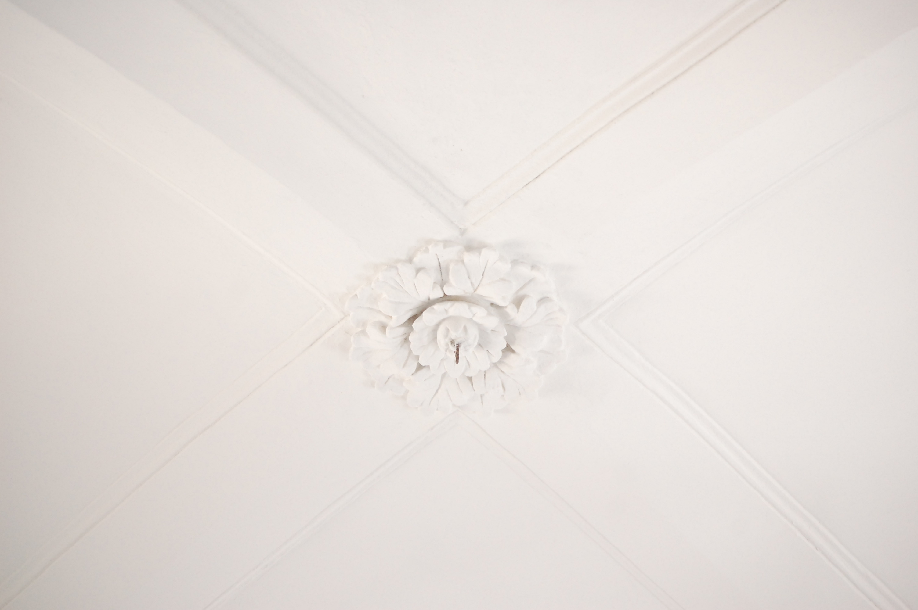 历史建筑圣安德烈教堂与圣洛克教堂的修复与恢复艺术-44