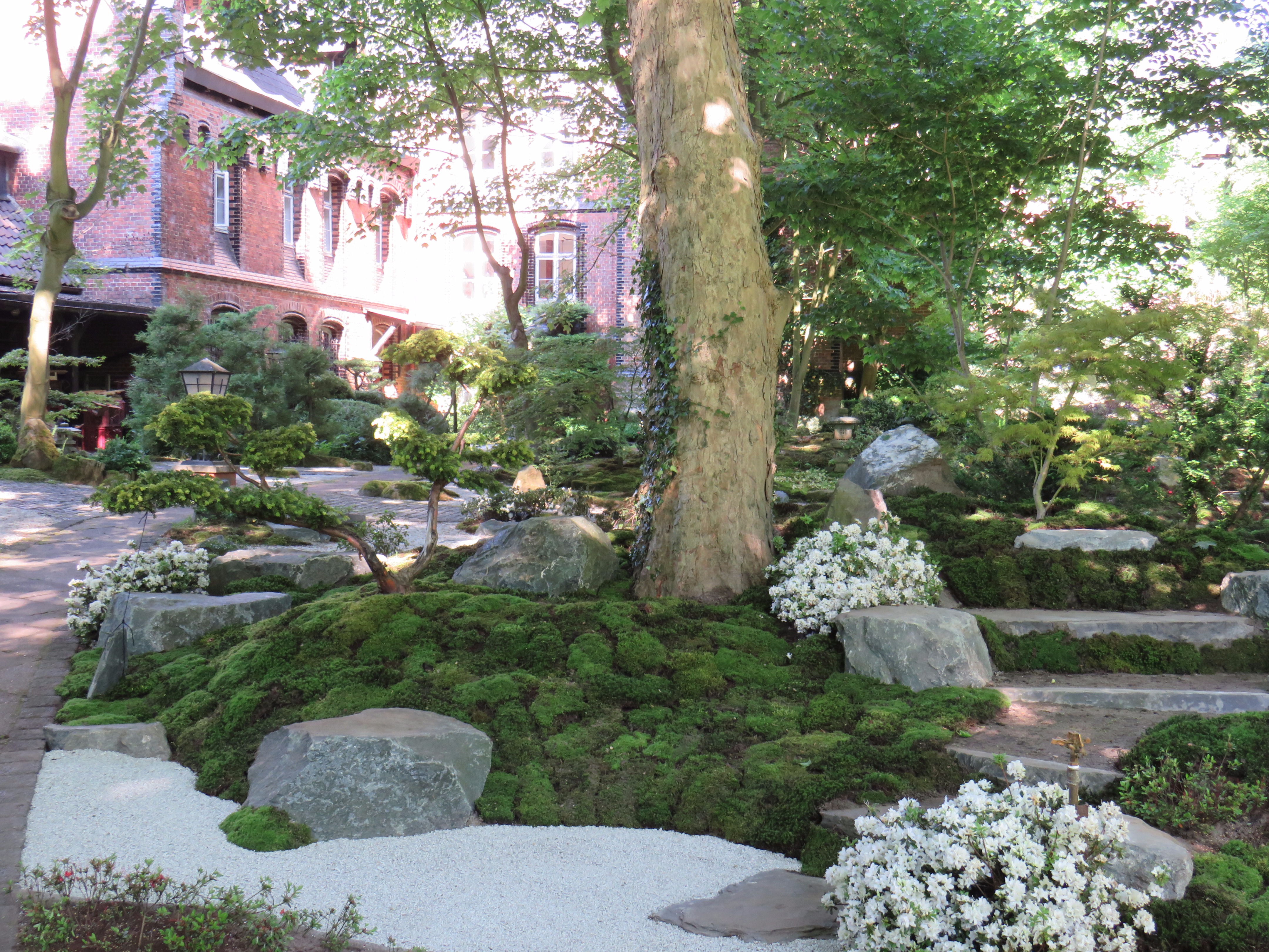 2017 日本花园研讨会 | 自然石座椅赏茶屋美景-2