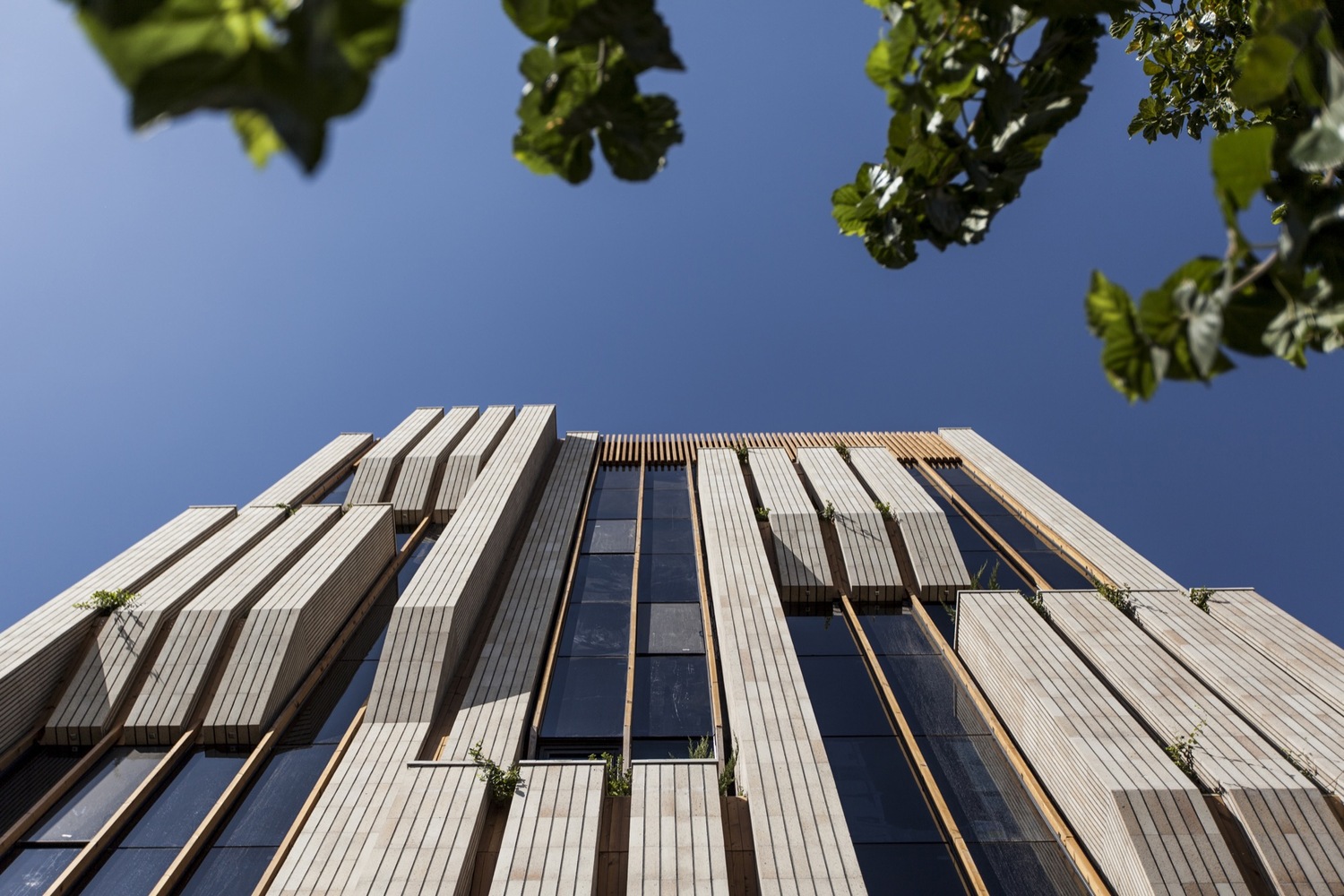 伊朗 isfahan 砖木建筑 | 绿意盎然的环境和谐设计-41