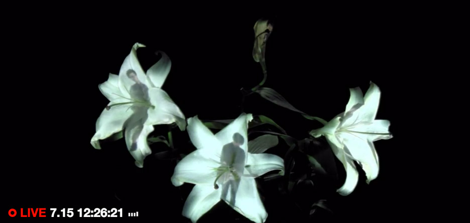 《花之颂》（Hana）-6