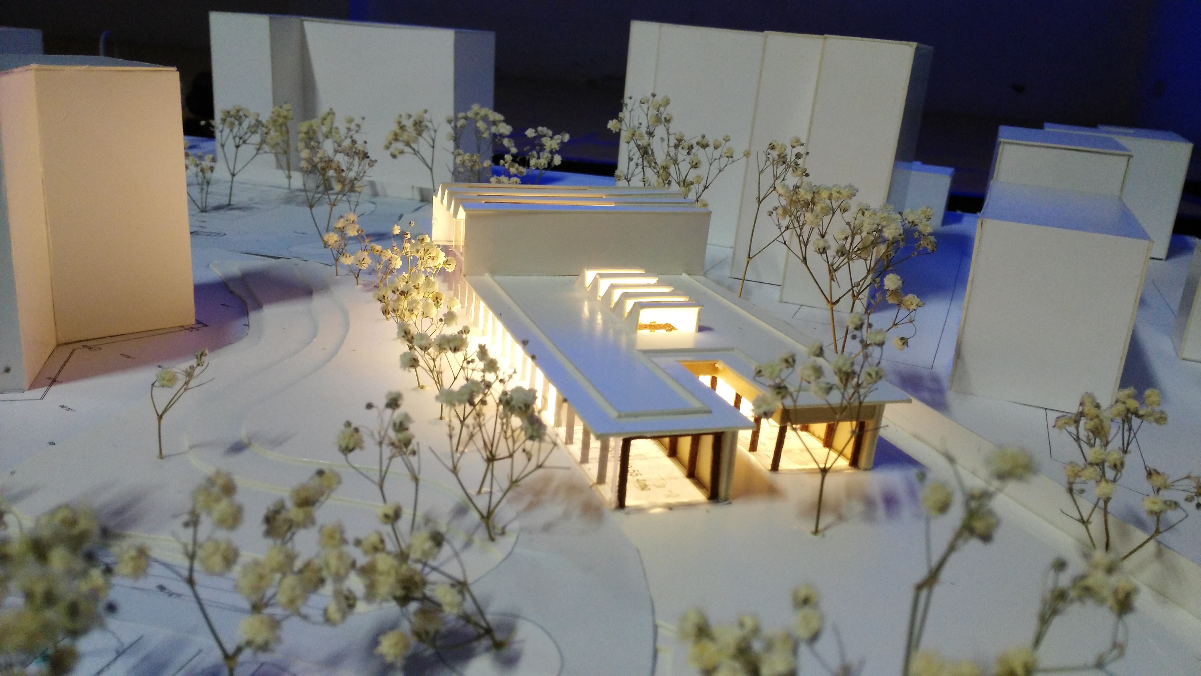 梦幻花园图书馆-25