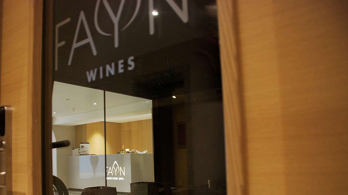 Fayn 酒店翻新 | 打造难忘的度假体验-65