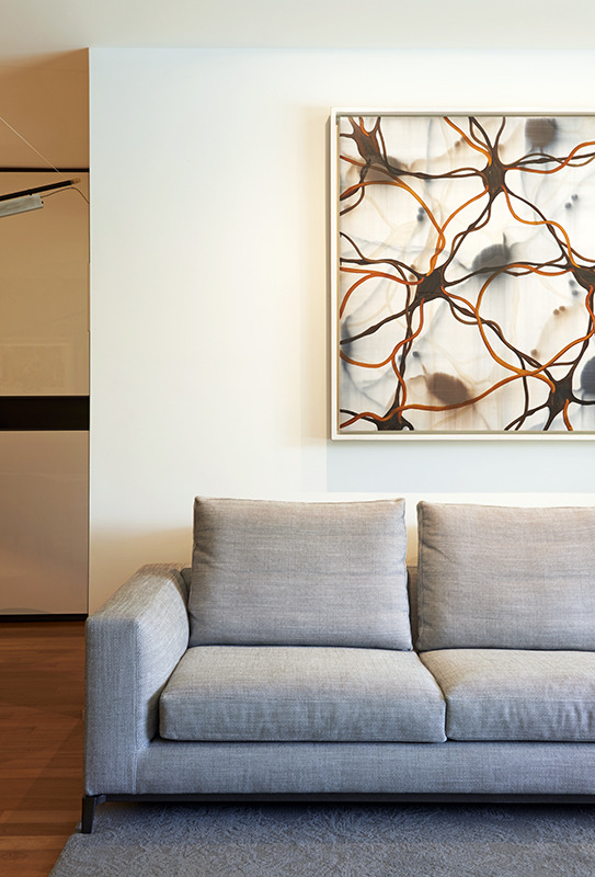 2015 年独栋住宅设计佳作 | Casa Rab-9