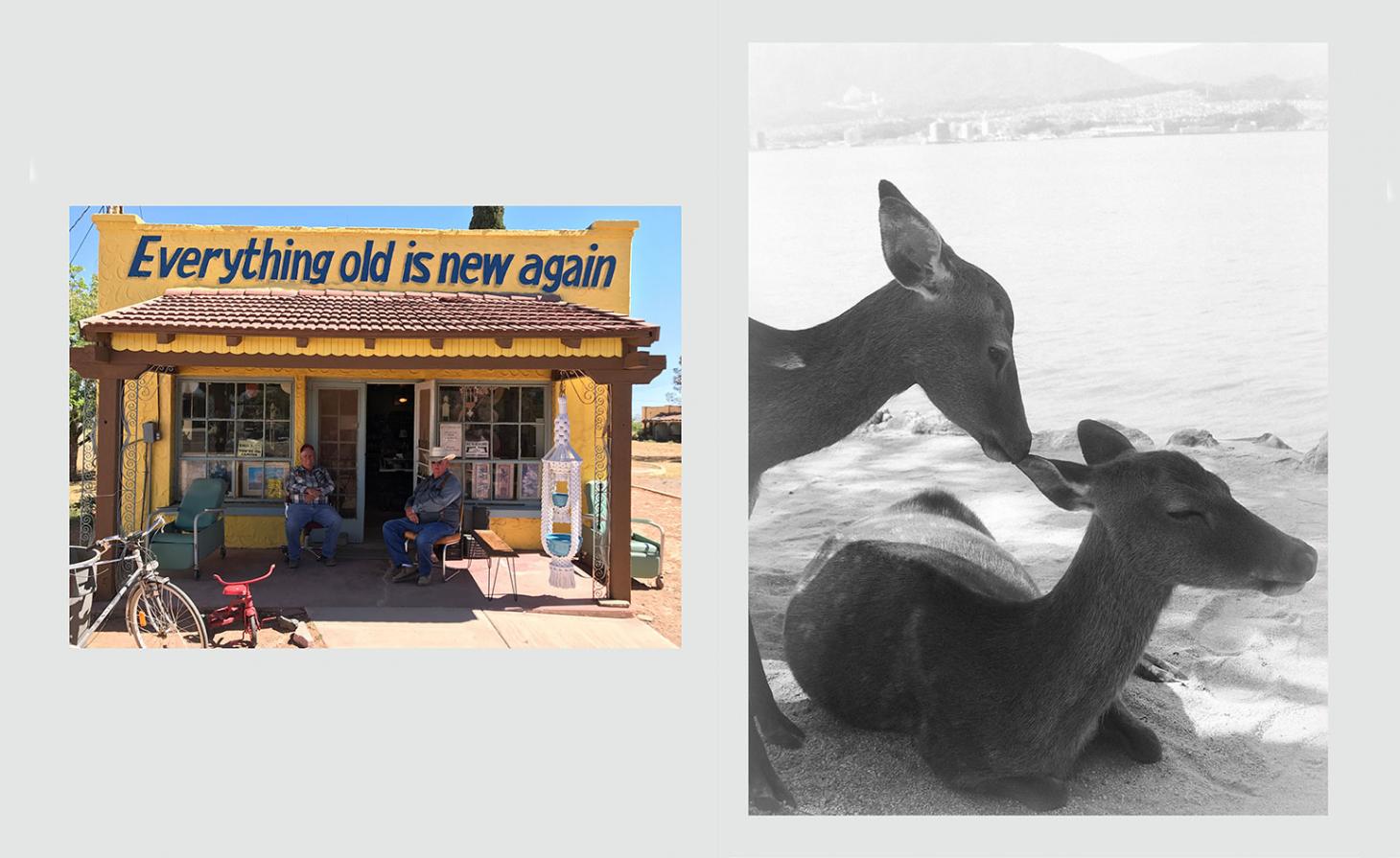 E Tautz 匿名摄影展 · 致敬 150 年时尚传奇-20