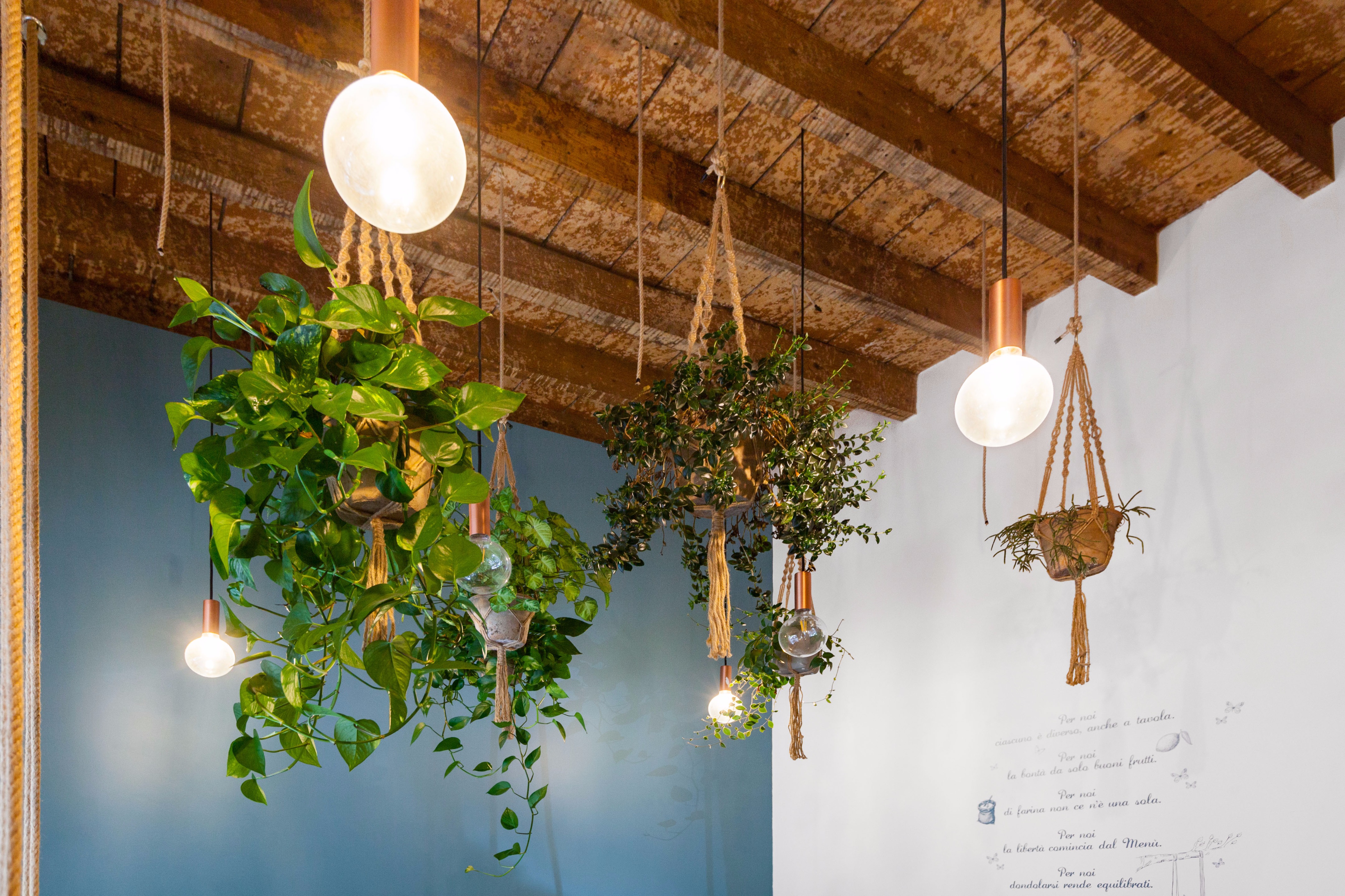 复古韵味的新生 | 2016 年完成的 PanPerMe 项目-14