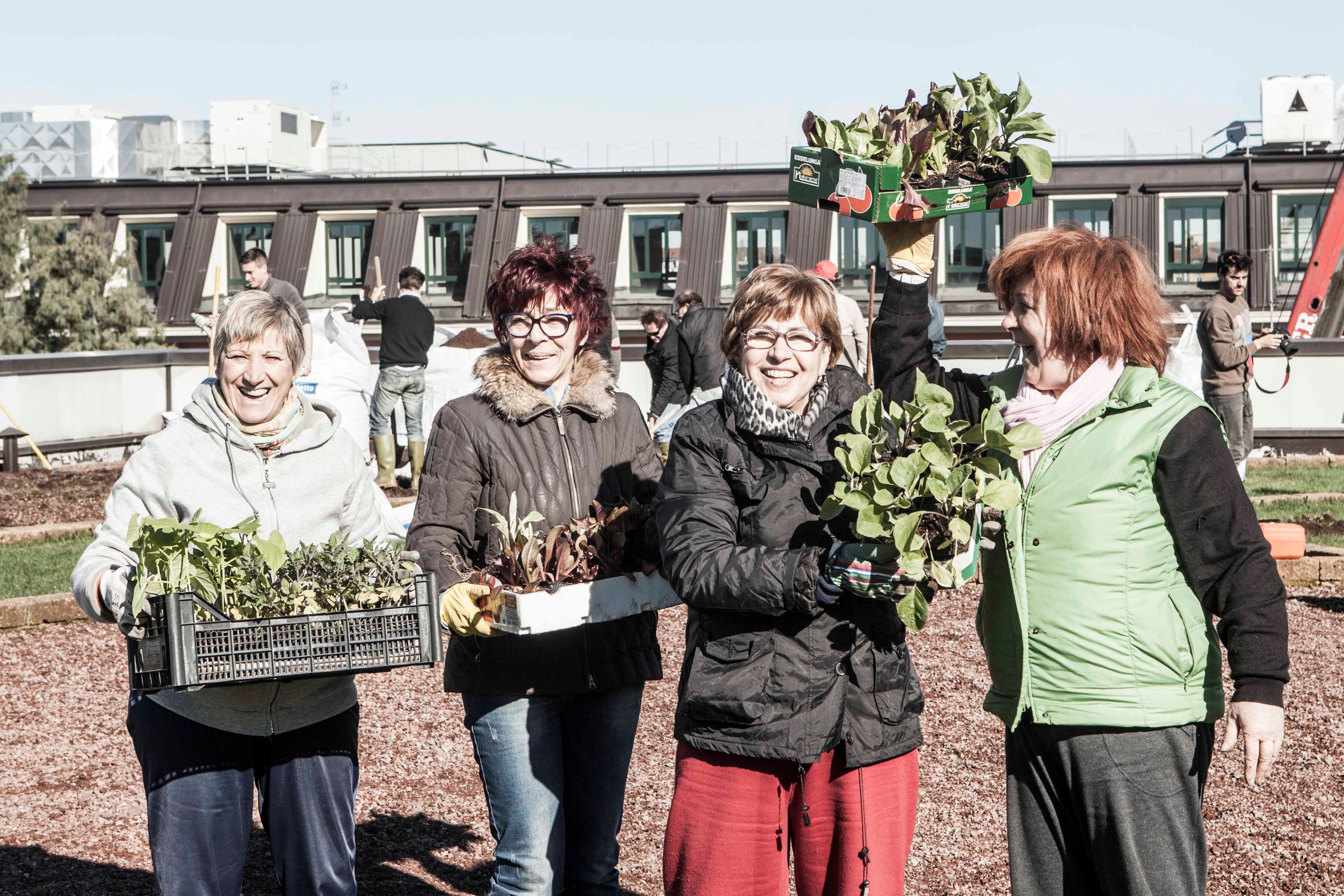 米兰屋顶稻田 · 创新城市农业设计-19