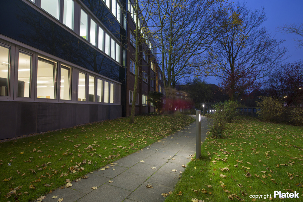 汉堡 Plan International 办公空间——公共花园式办公新体验-2