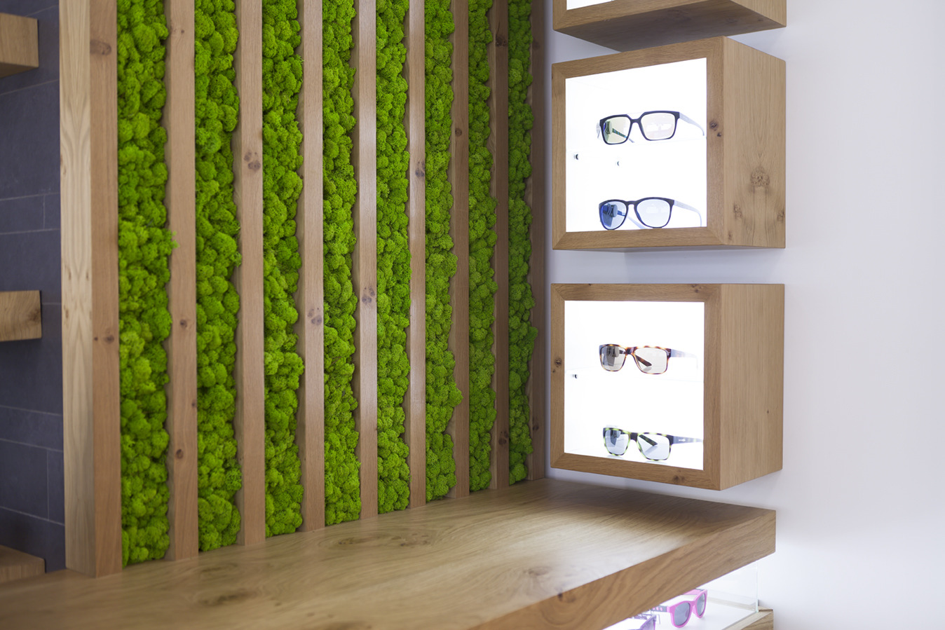 绿色苔藓装点光学商店-1