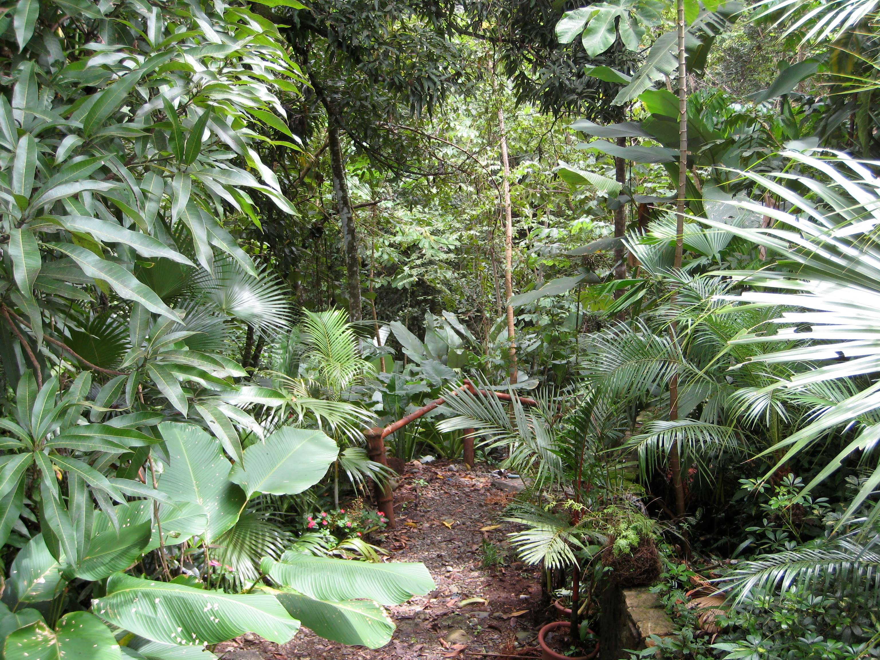 Gaia Hotel＆Reserve（哥斯达黎加，蓬塔雷纳斯）W-5