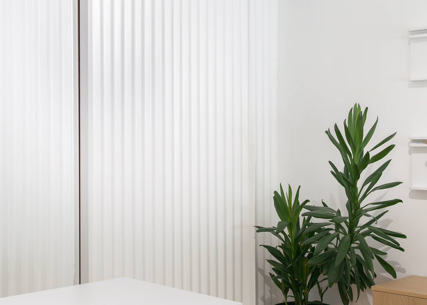 百年老店翻新,密尔沃基的 Commonplace 商店打造精致室内空间-15