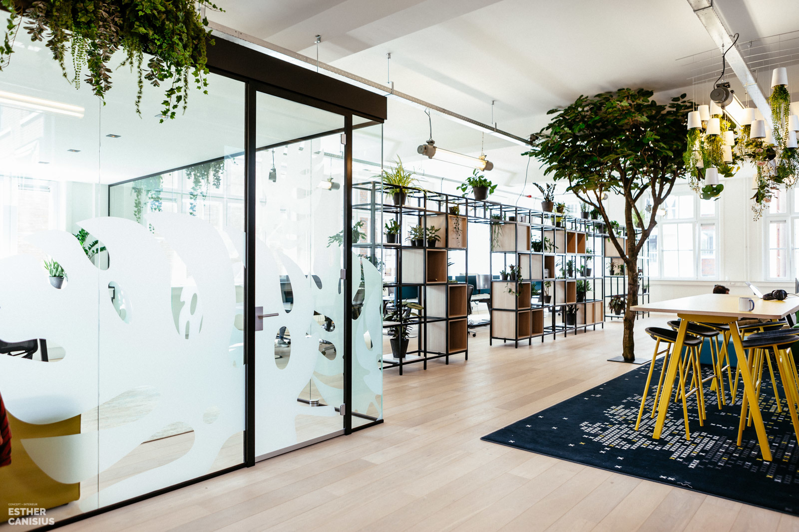 荷兰 Imkey 办公室 | 古典建筑中的现代绿意空间-1