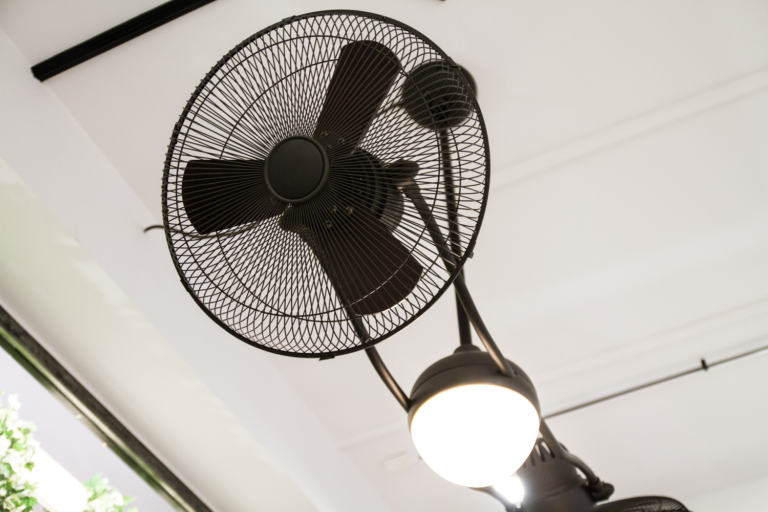 绿意盎然的空间艺术-31