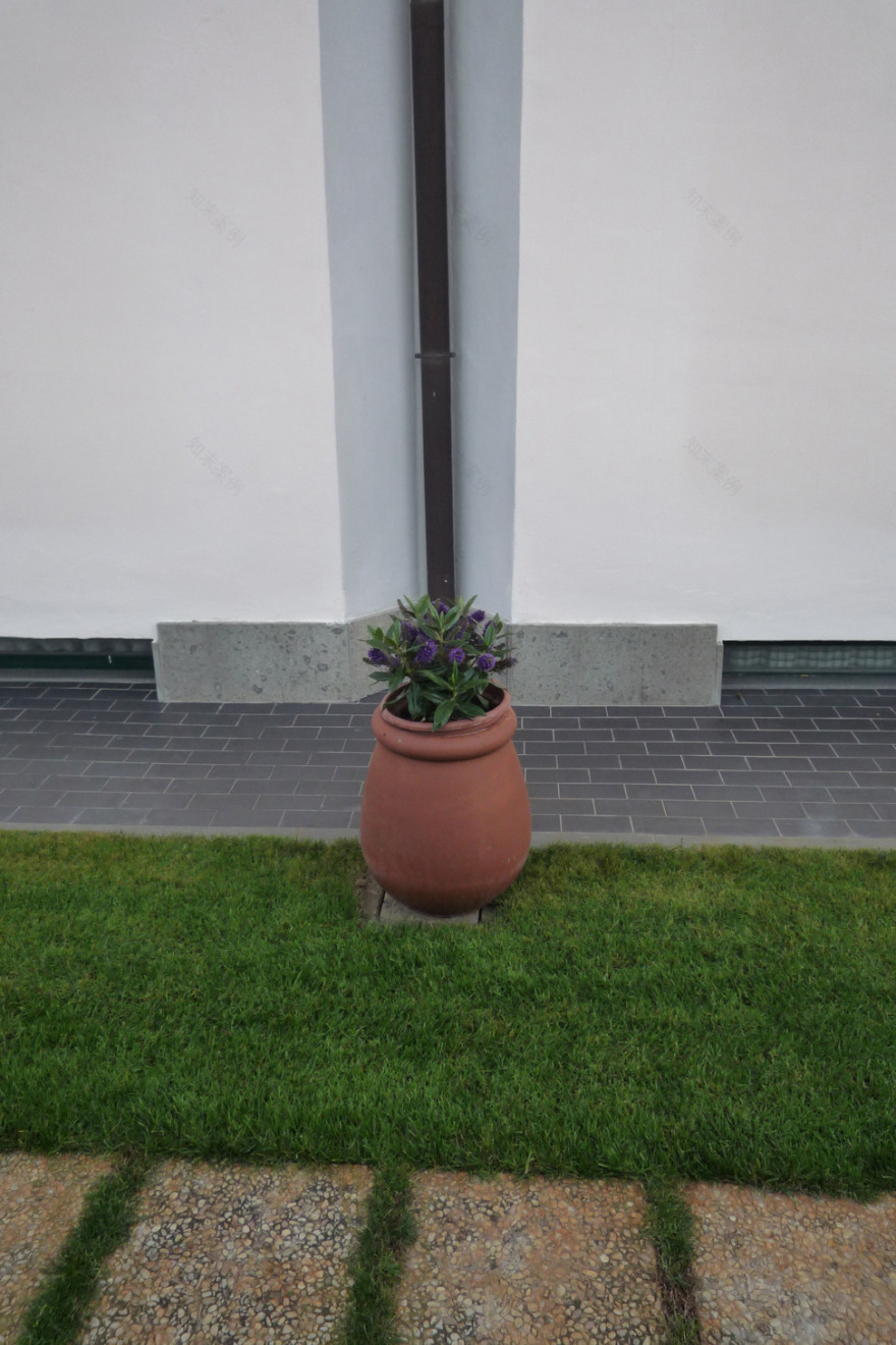 阳光与绿意共生 | 家庭住宅设计案例-12