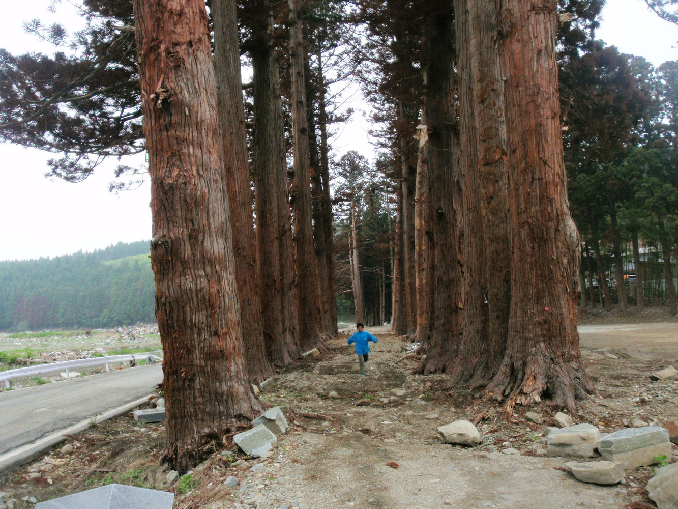 日本海啸幼儿园重建,原木结构传达希望-41
