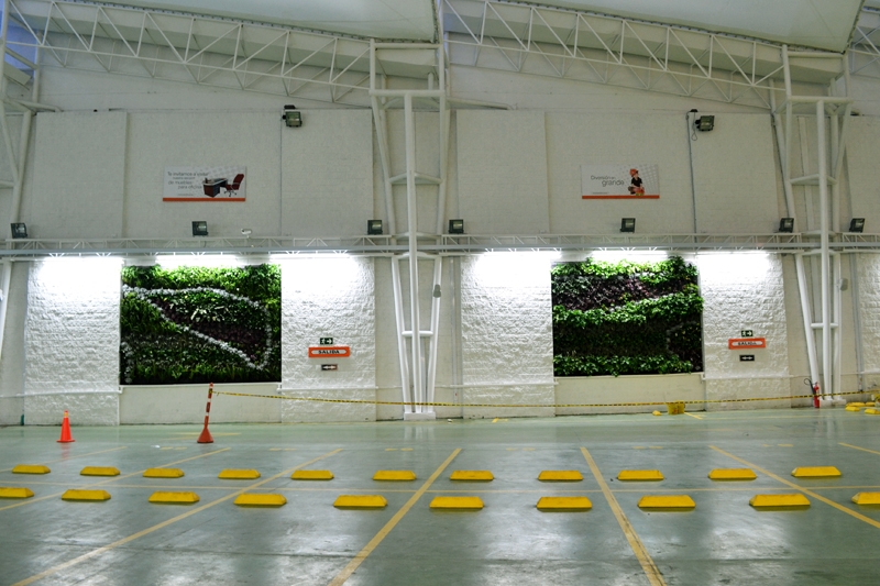 哥伦比亚 Ibague 泛美书店-13