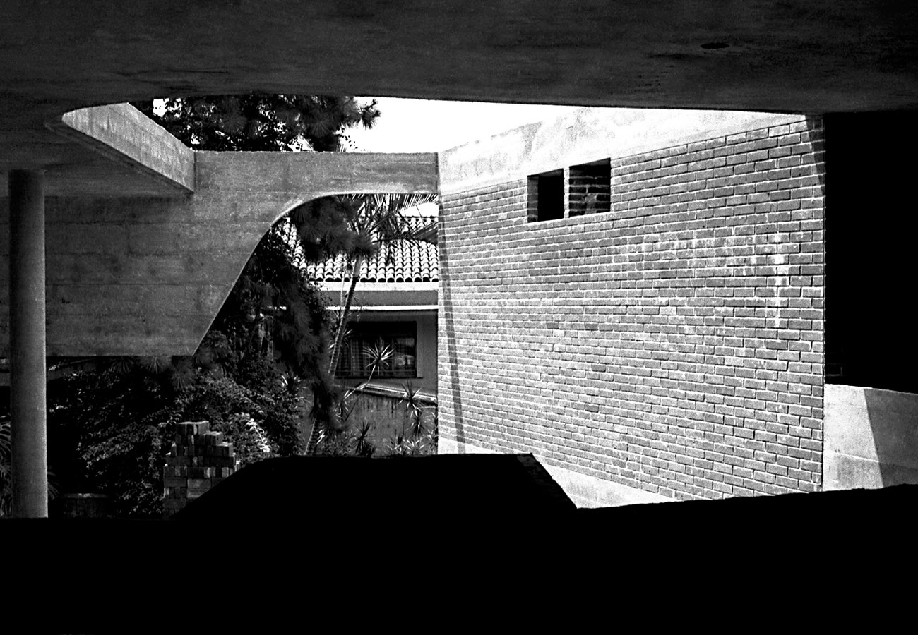 绿意盎然的家庭住宅-7