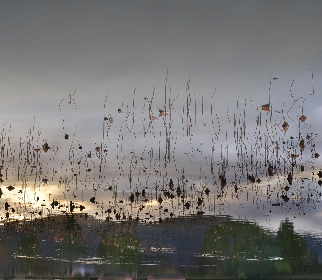 禅意京都 | Ori Gersht 的“浮生世界”摄影展-17