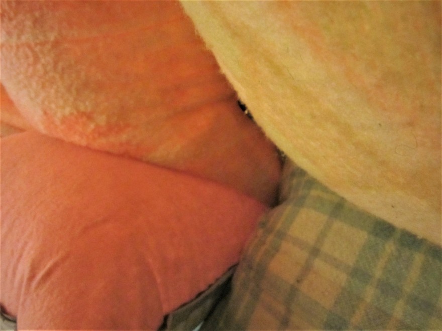 2012 年完成的儿童枕头帐篷设计-15