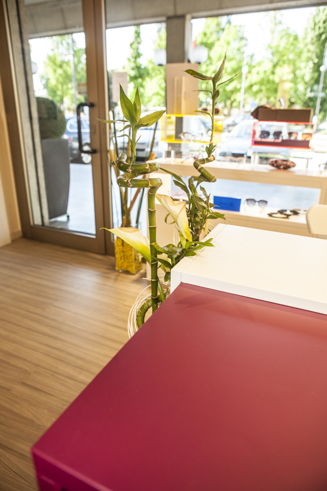 自然绿意融入的定制家具光学商店设计-9