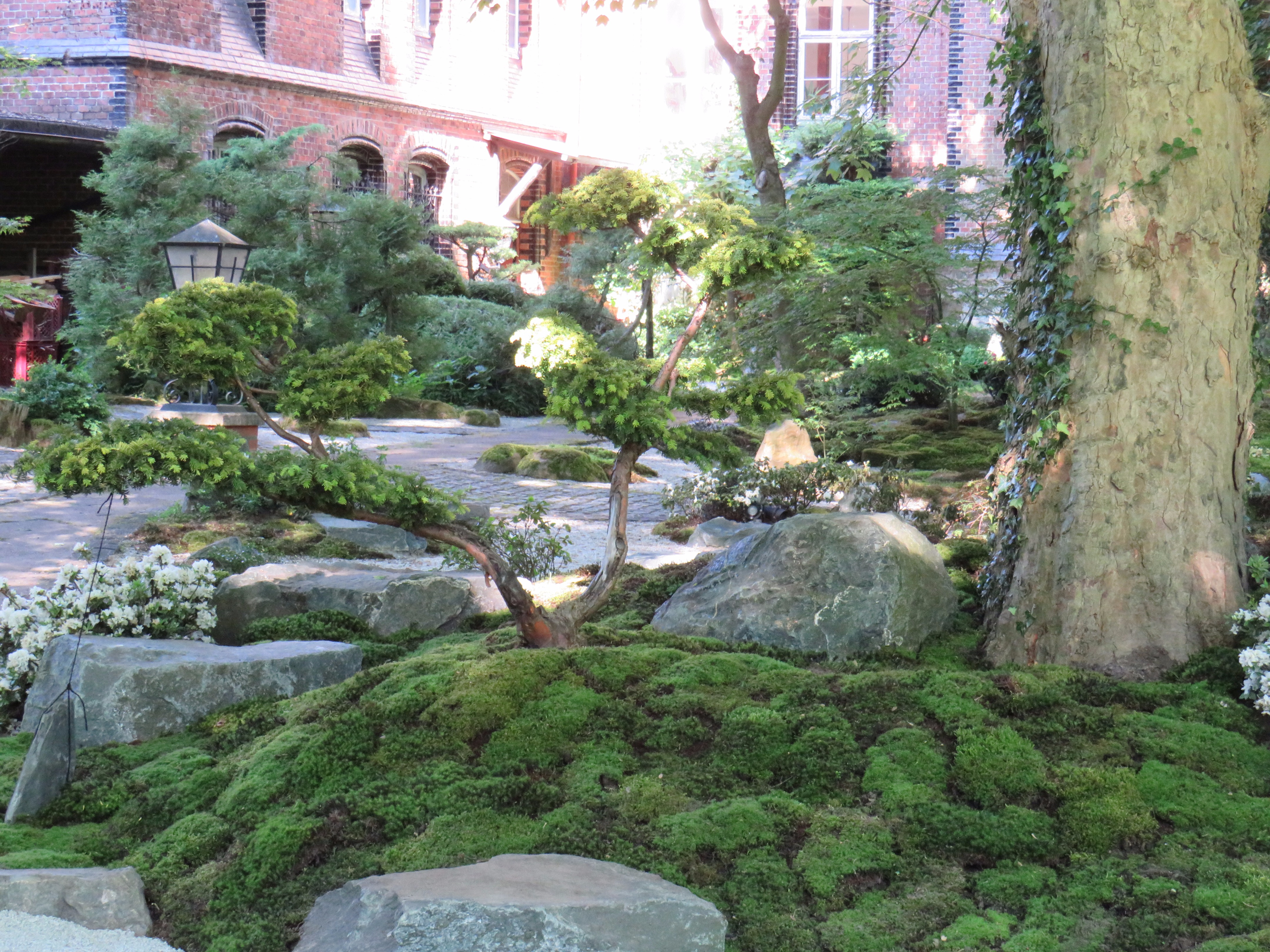 2017 日本花园研讨会 | 自然石座椅赏茶屋美景-3