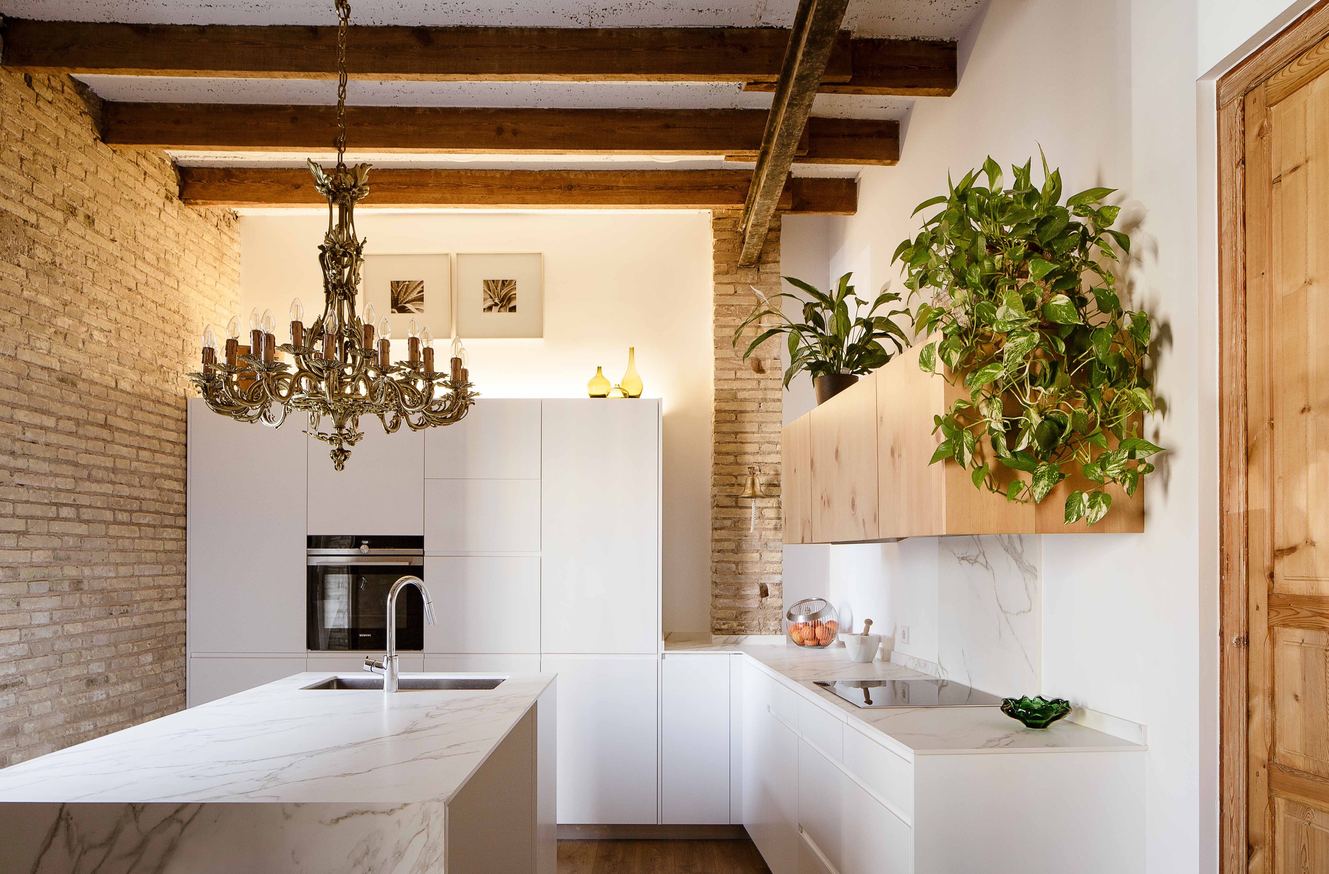 百年老屋翻新，打造开放式生态公寓-13