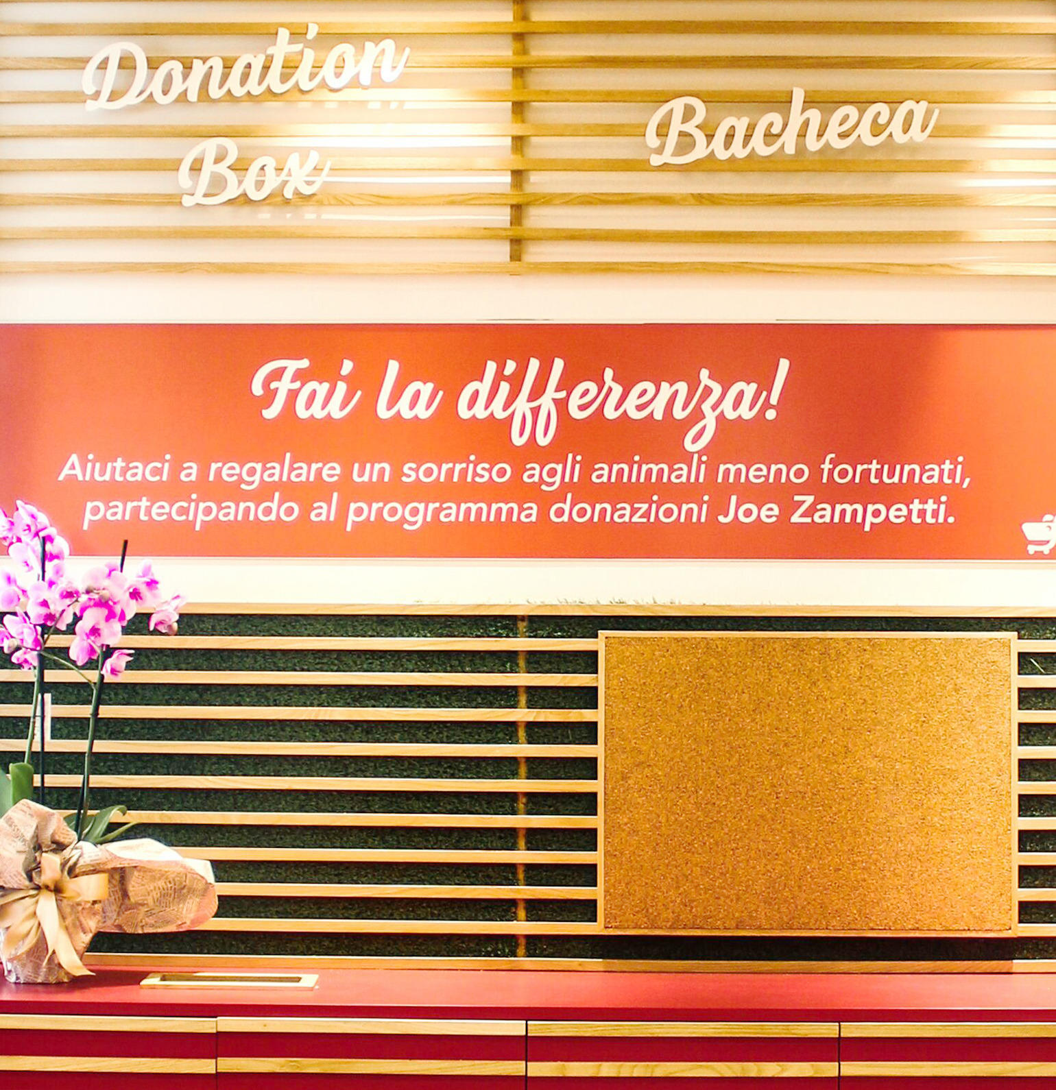 Joe Zampetti 2018 年完美收官之作-2