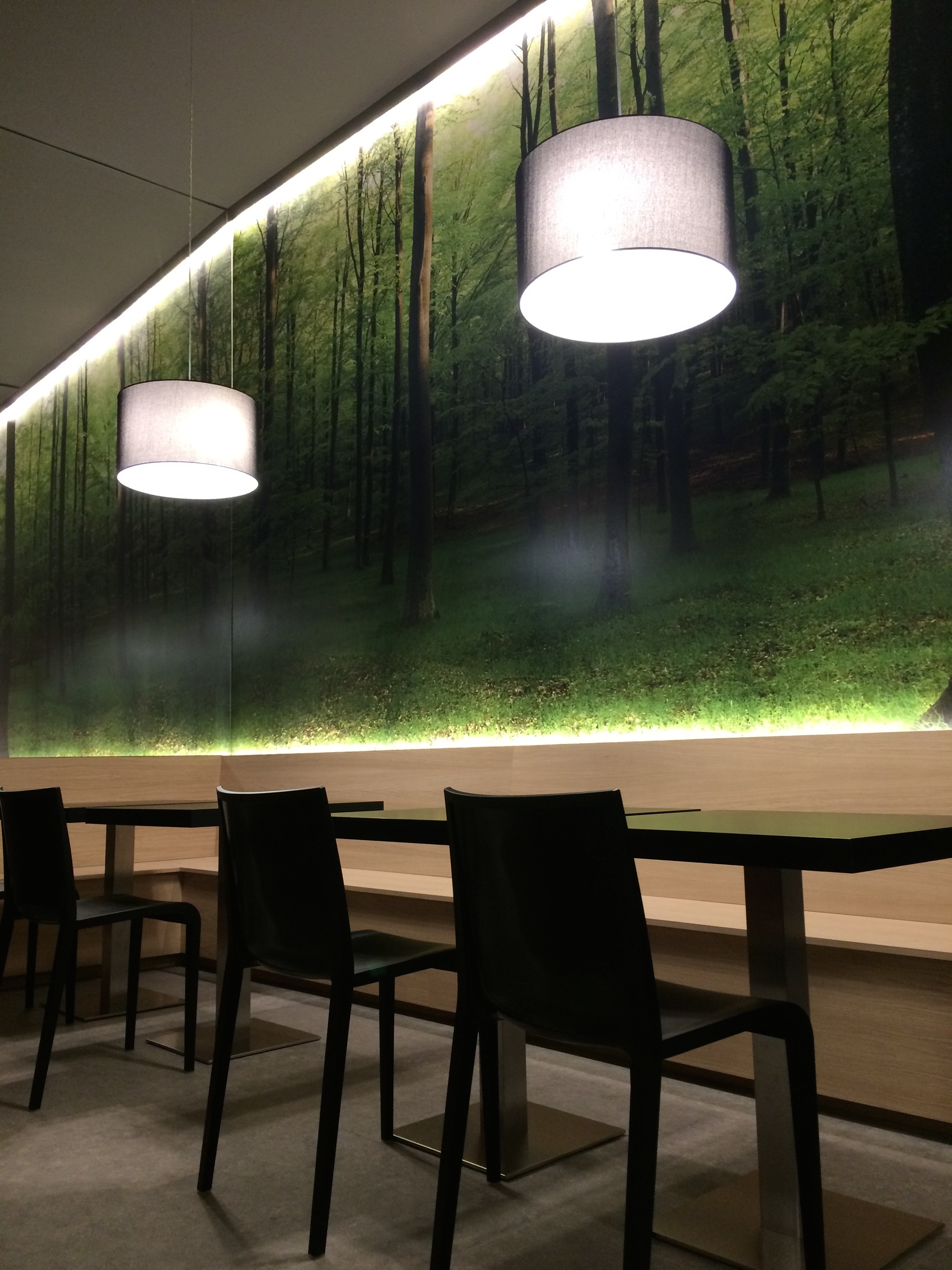 self可译为自我自身自己等；cafè应是café，可译为咖啡馆咖啡店-16