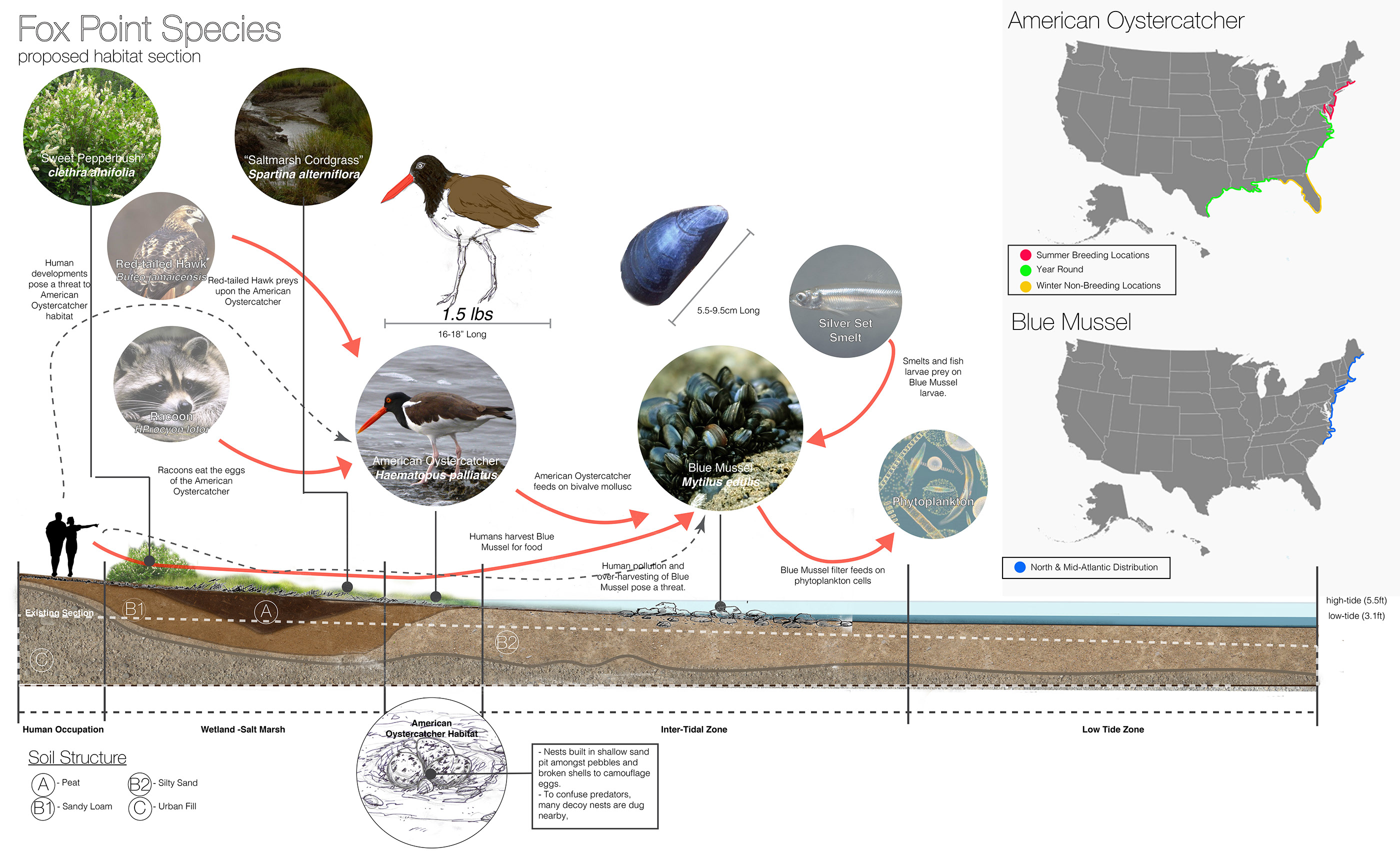 Site Ecology Studio Spring 2015-27