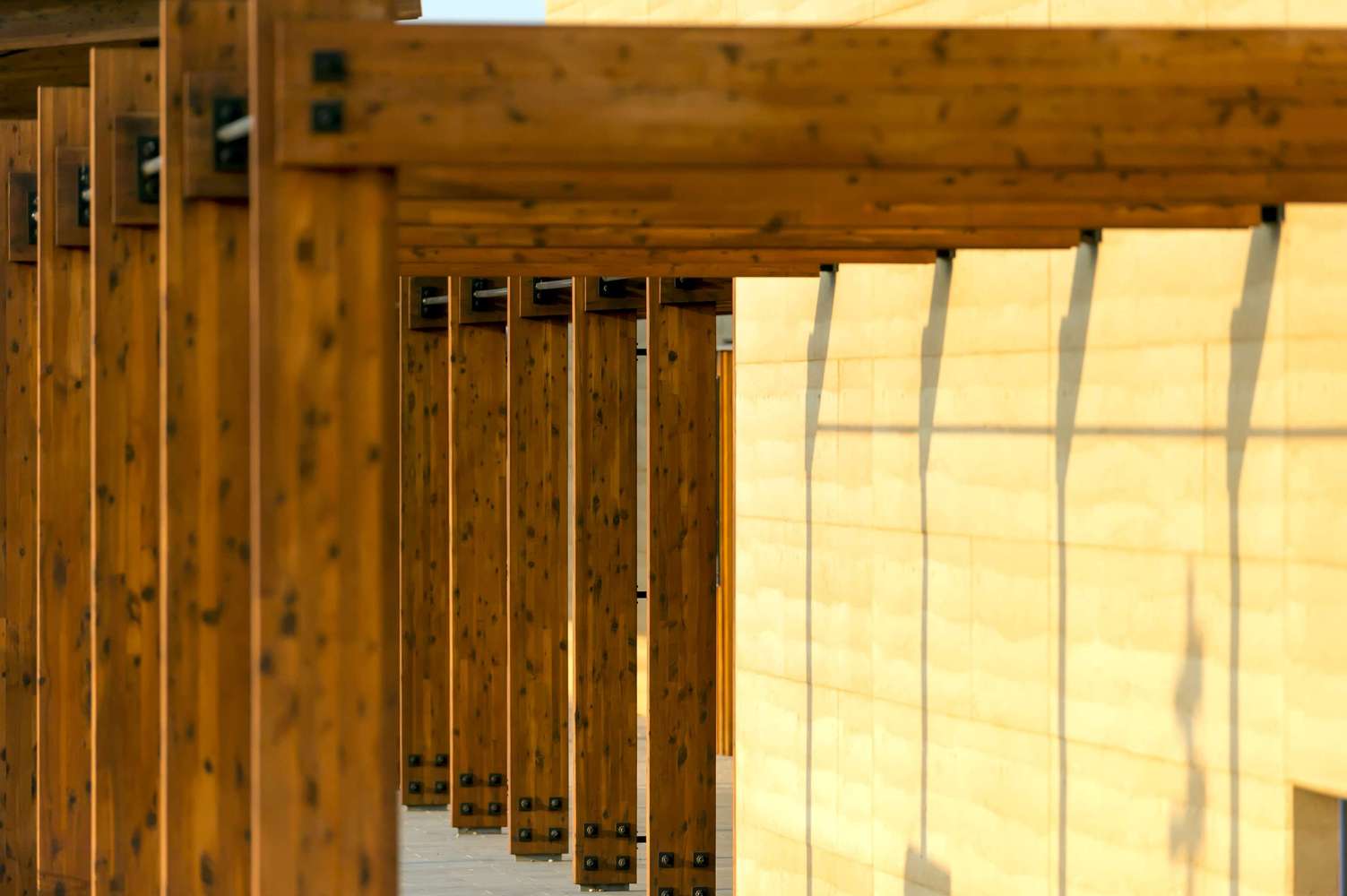 澳大利亚 Marist 学院蒙塔古中心 | 嵌入式景观教育设计-43