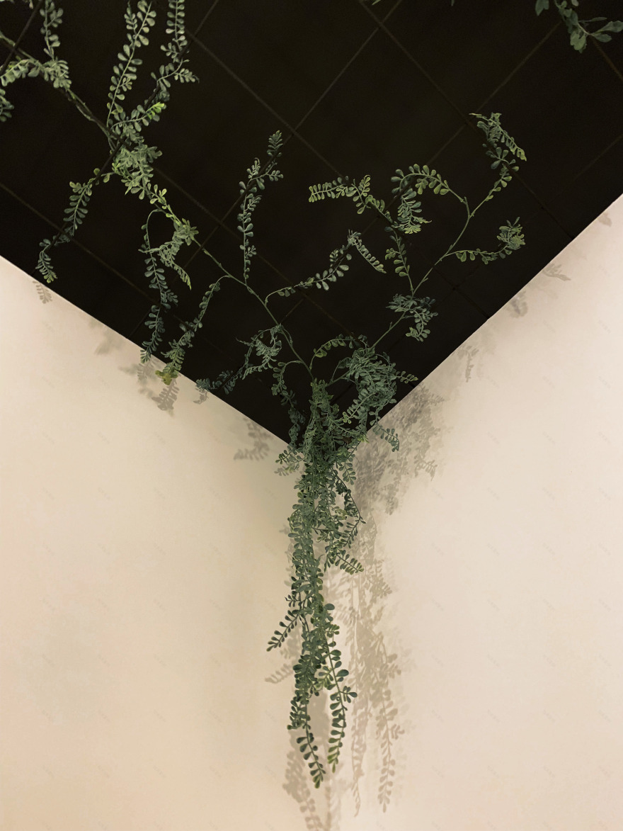 塔奥玛 · 女性康复之家-15