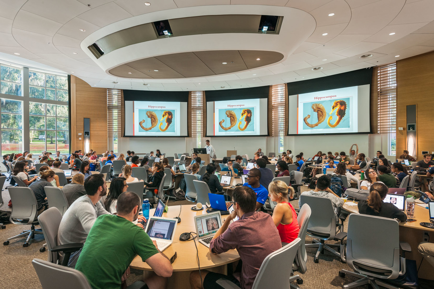 George T· Harrell,M·D· 医学教育大楼-7