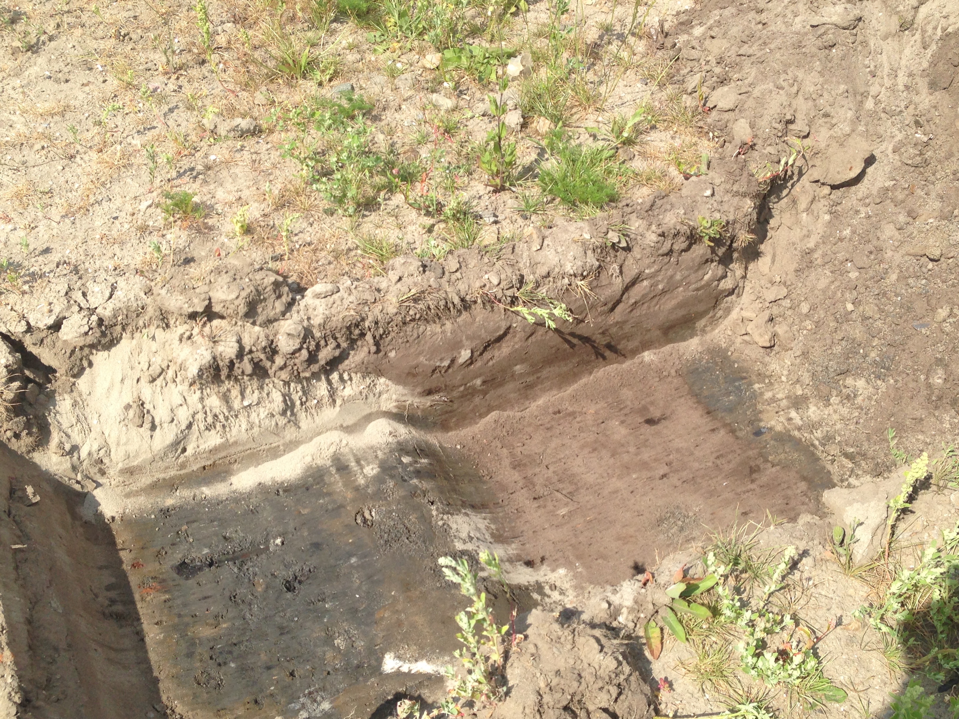 烟雾净化塔·打造清新公共空间-17