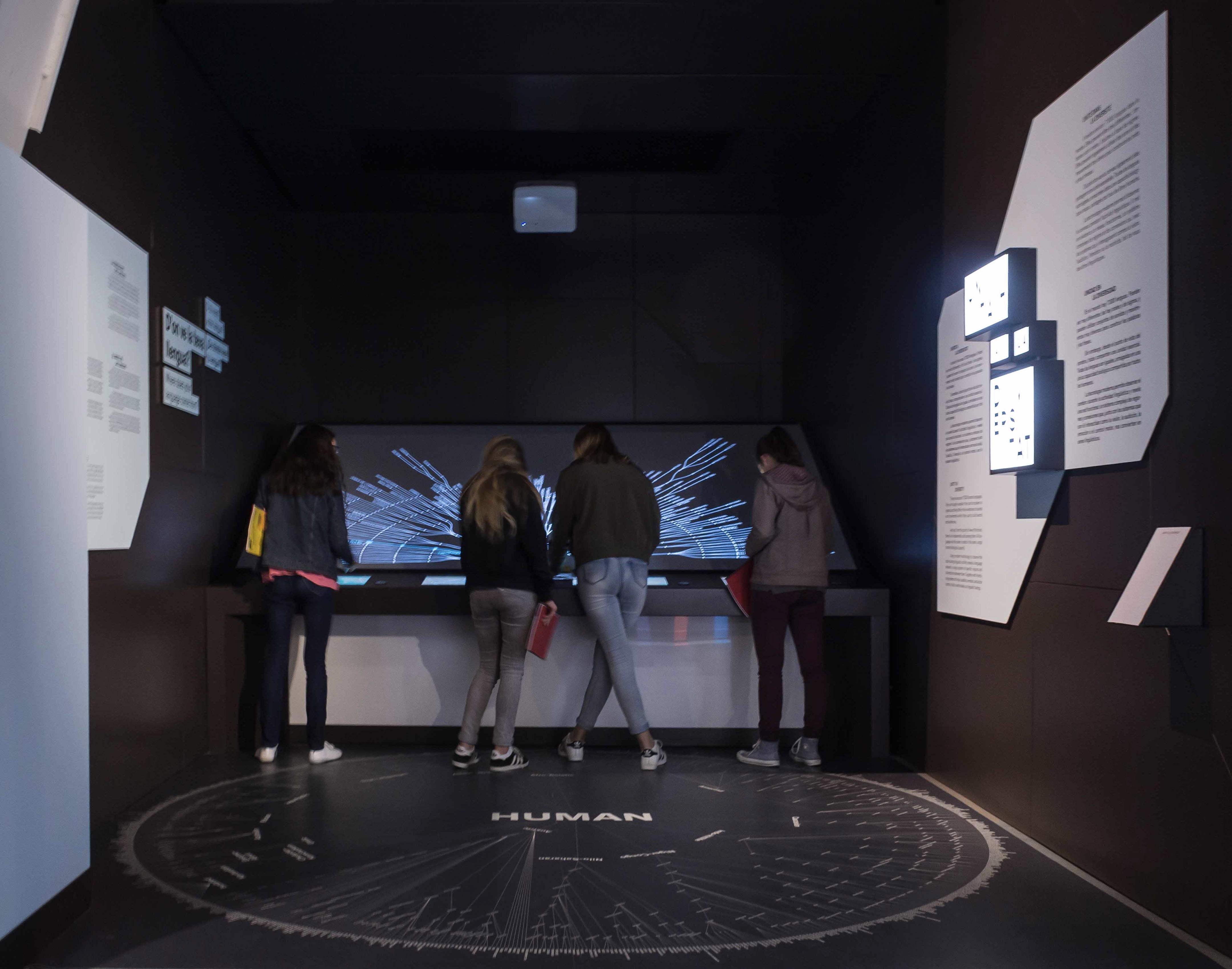 Talking Brains 展览设计-15