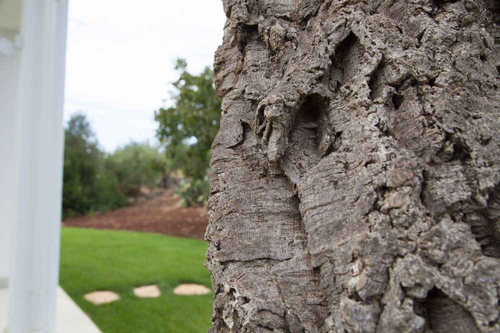 Villa Due（乡村度假胜地）-8