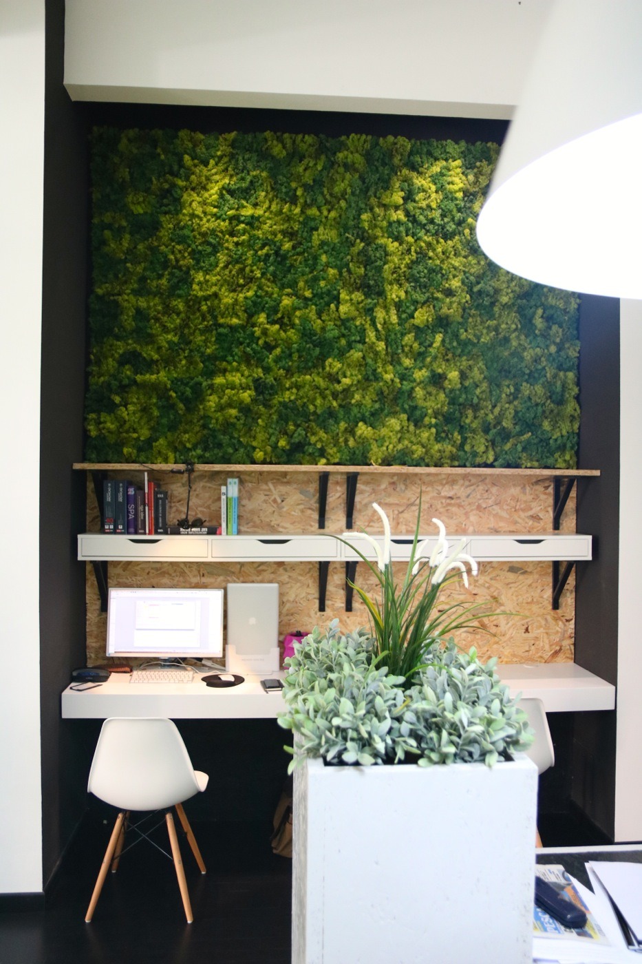 低成本改造办公空间，打造自然和谐的工作环境-17