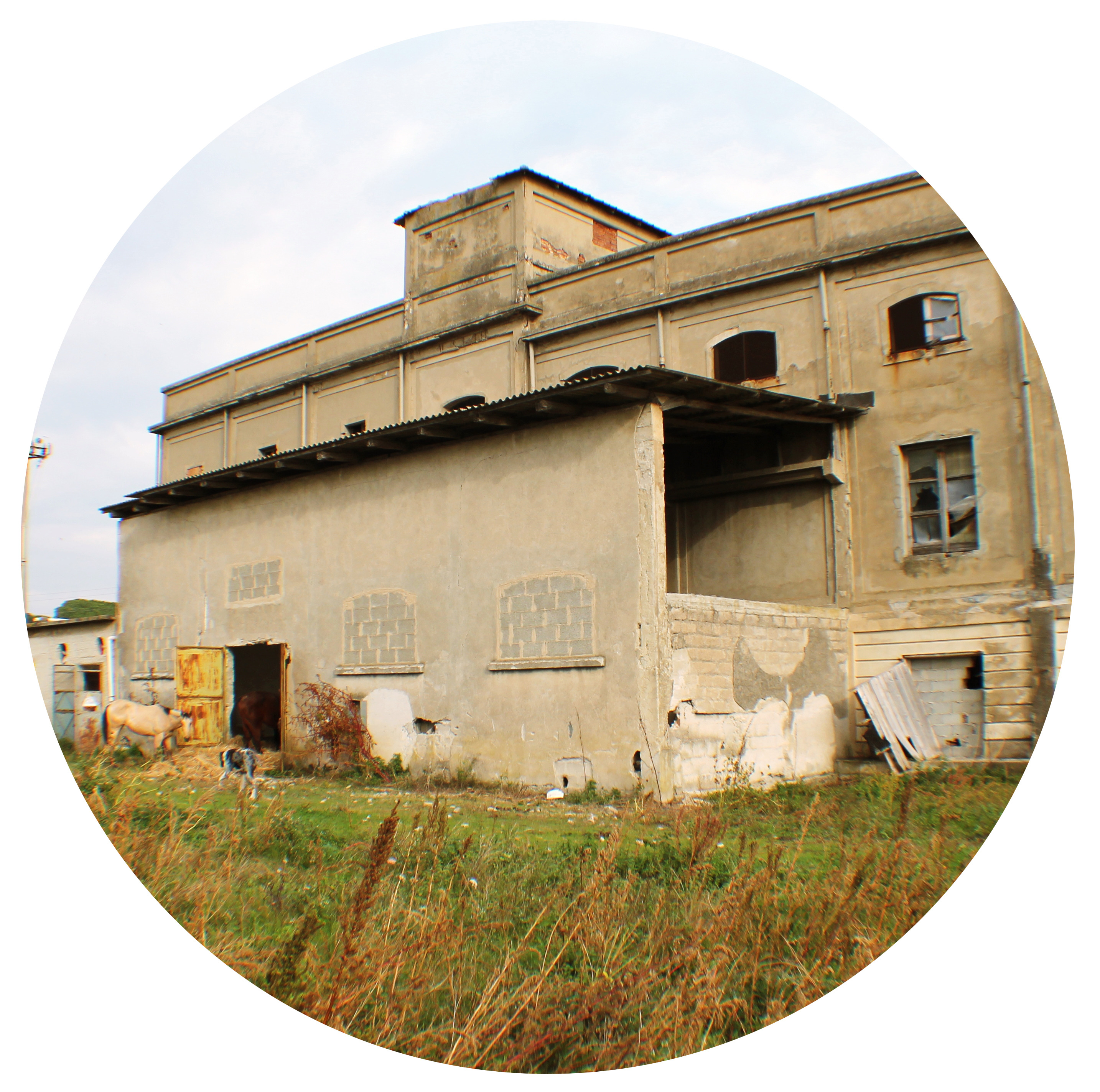 工业遗址的华丽转身 | 意大利 Sele 平原烟草工厂复兴-18