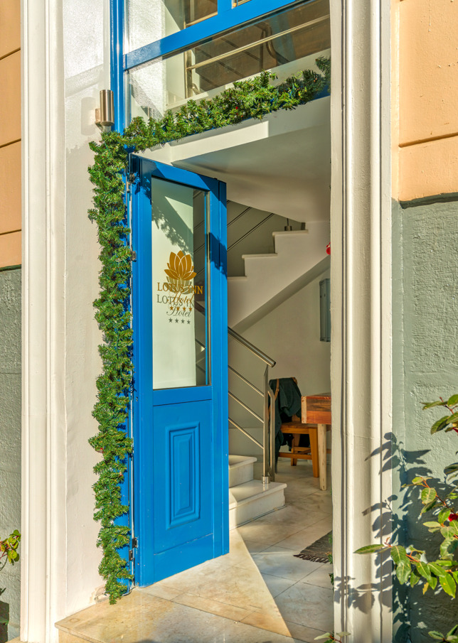 希腊雅典莲花酒店-2